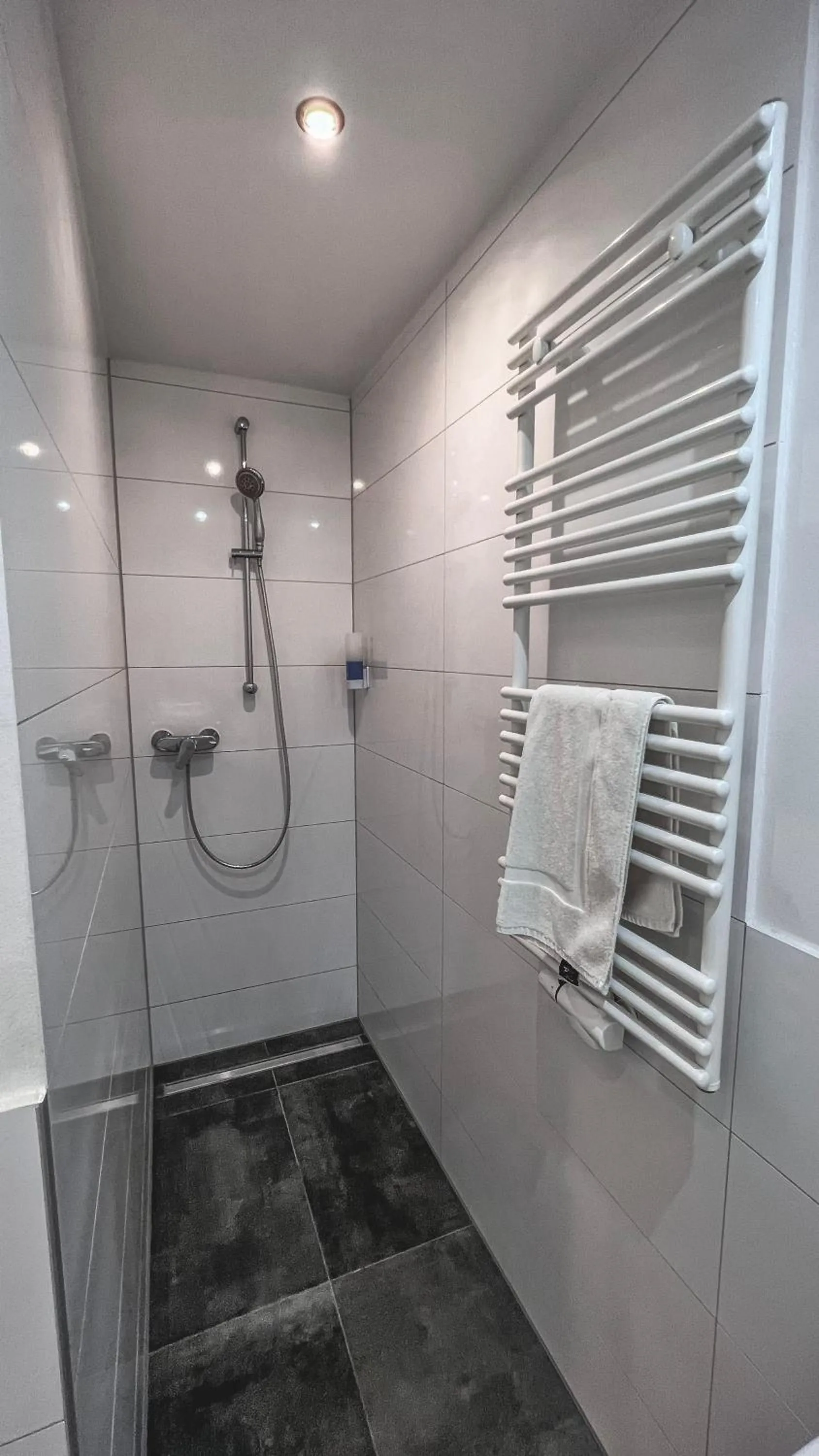 Shower in Apartments am Rheingarten