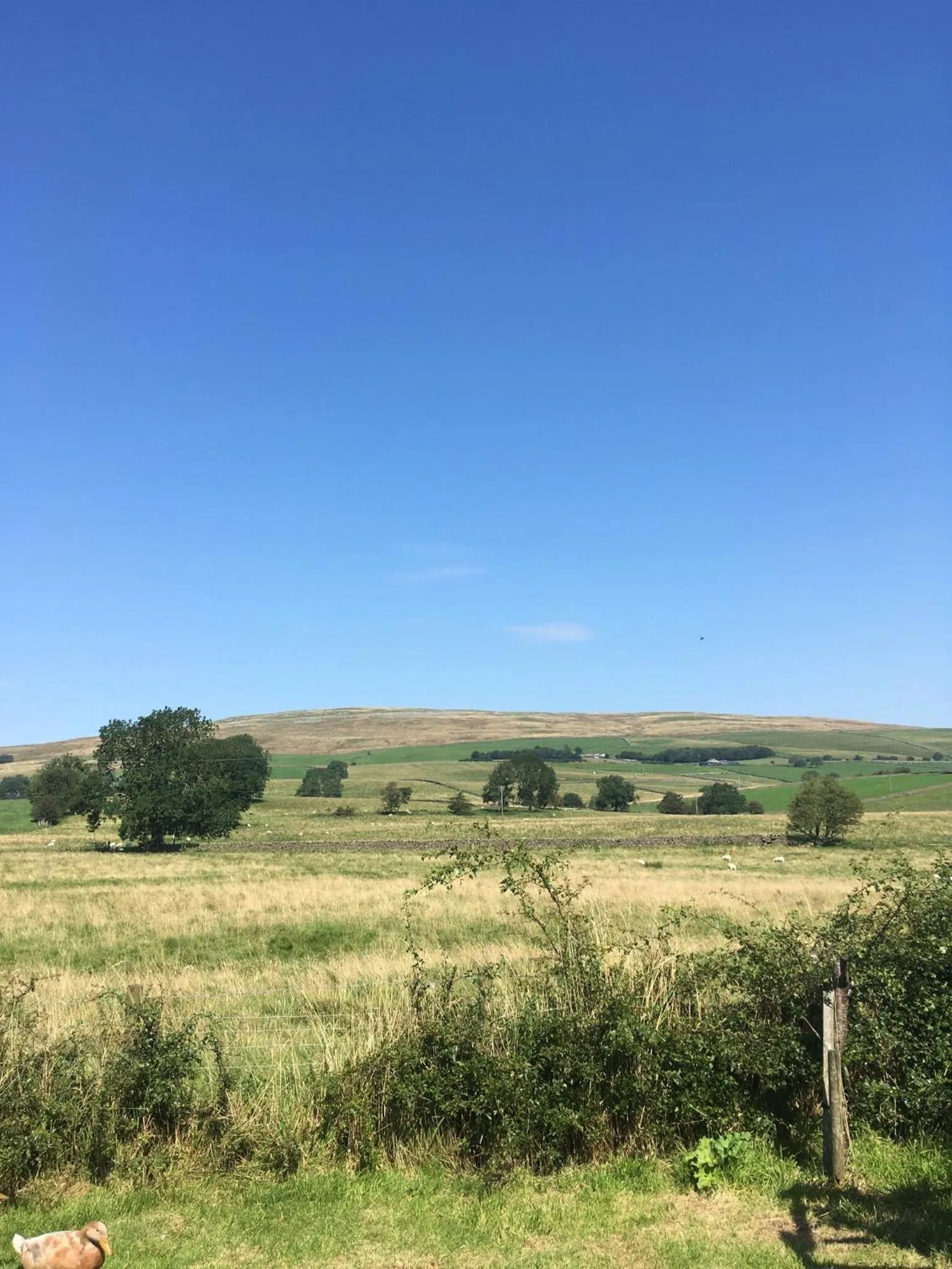 Natural landscape in Old Hall Croft Barn