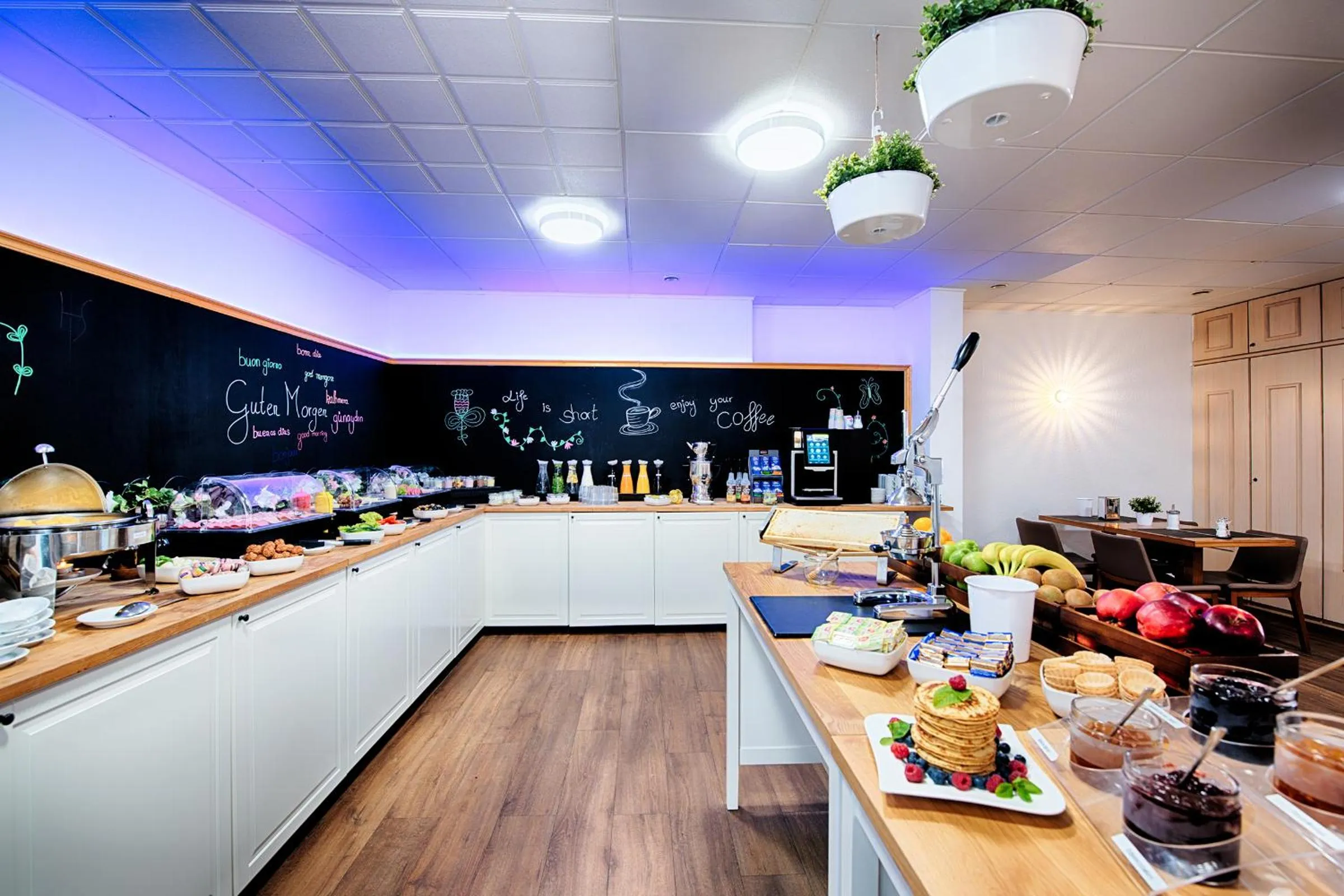 Food and drinks in Hotel Senator