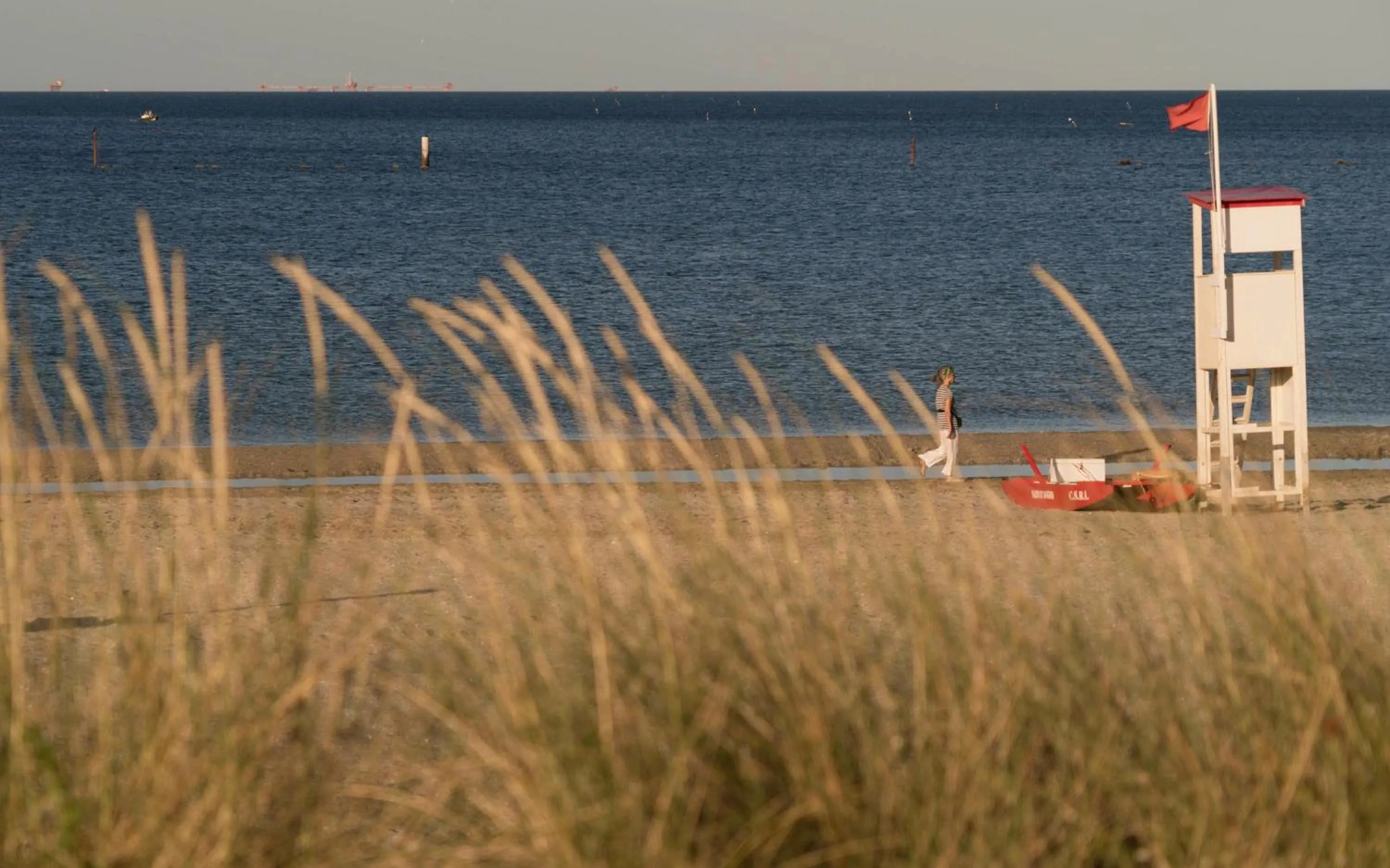 Beach in Albergo Medusa