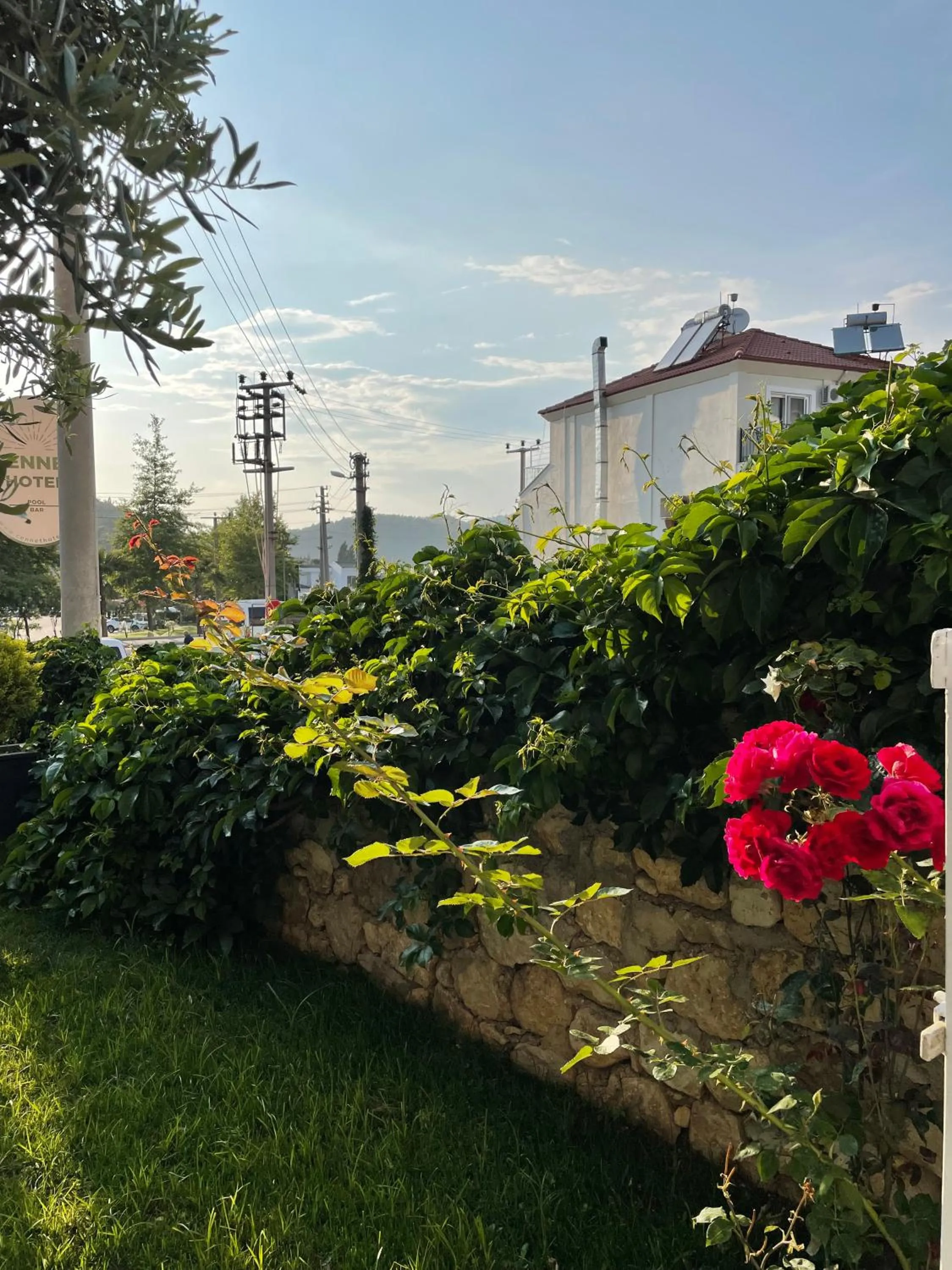 Garden in Cennet Hotel