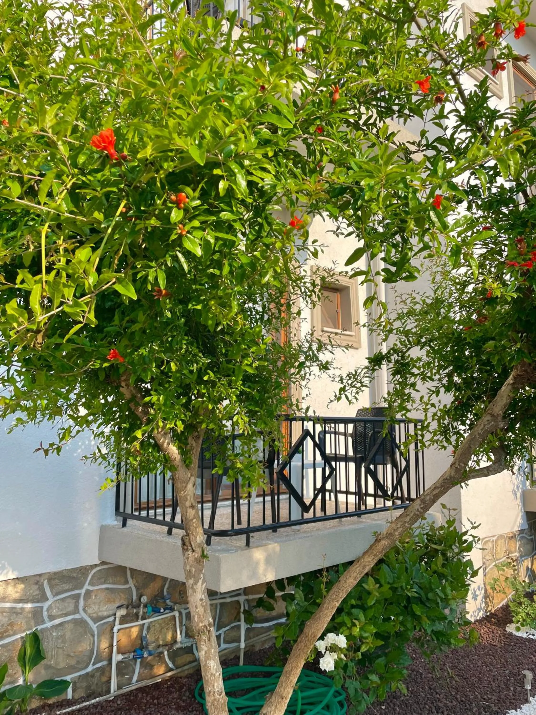 Garden in Cennet Hotel