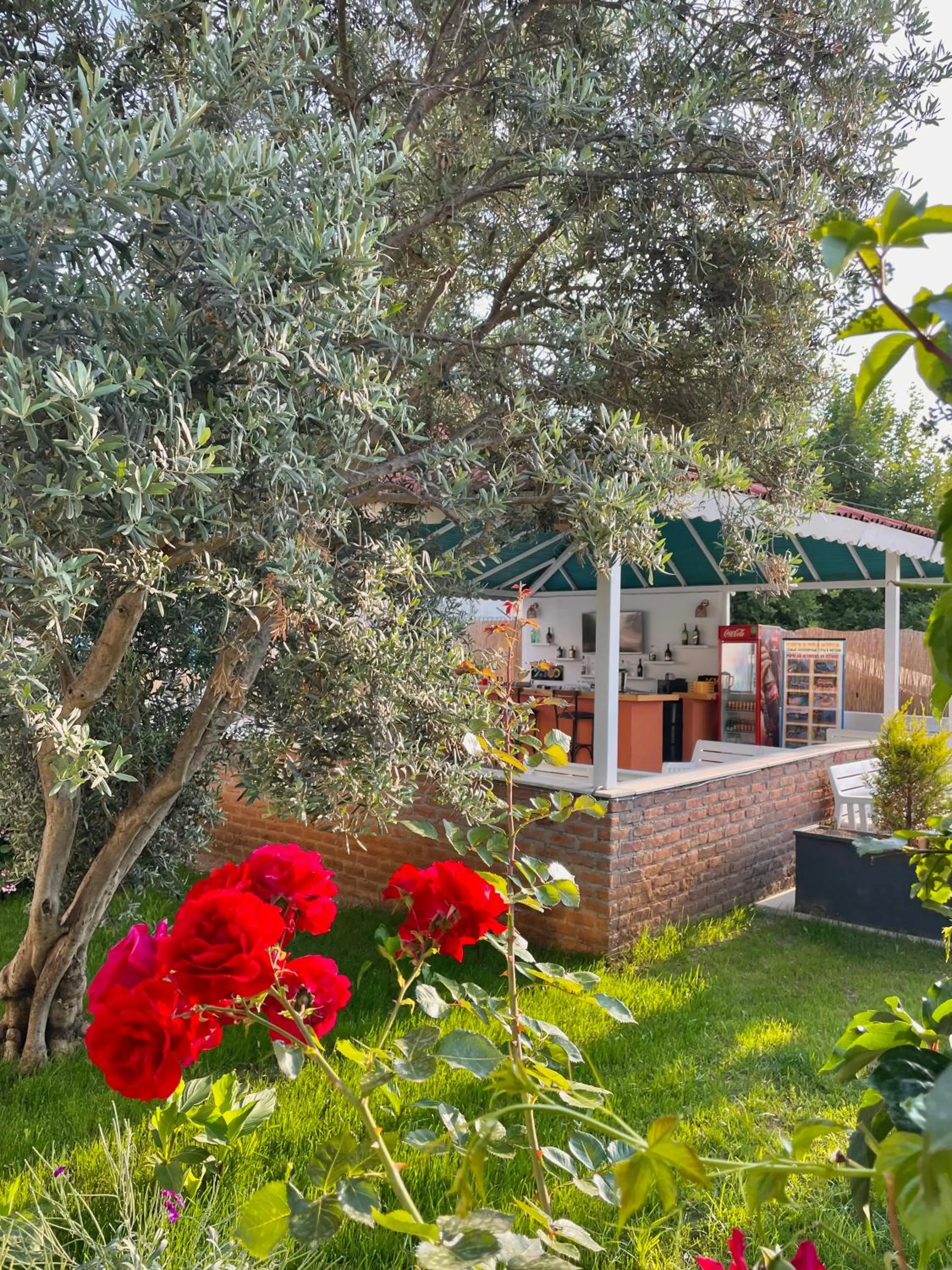 Garden in Cennet Hotel