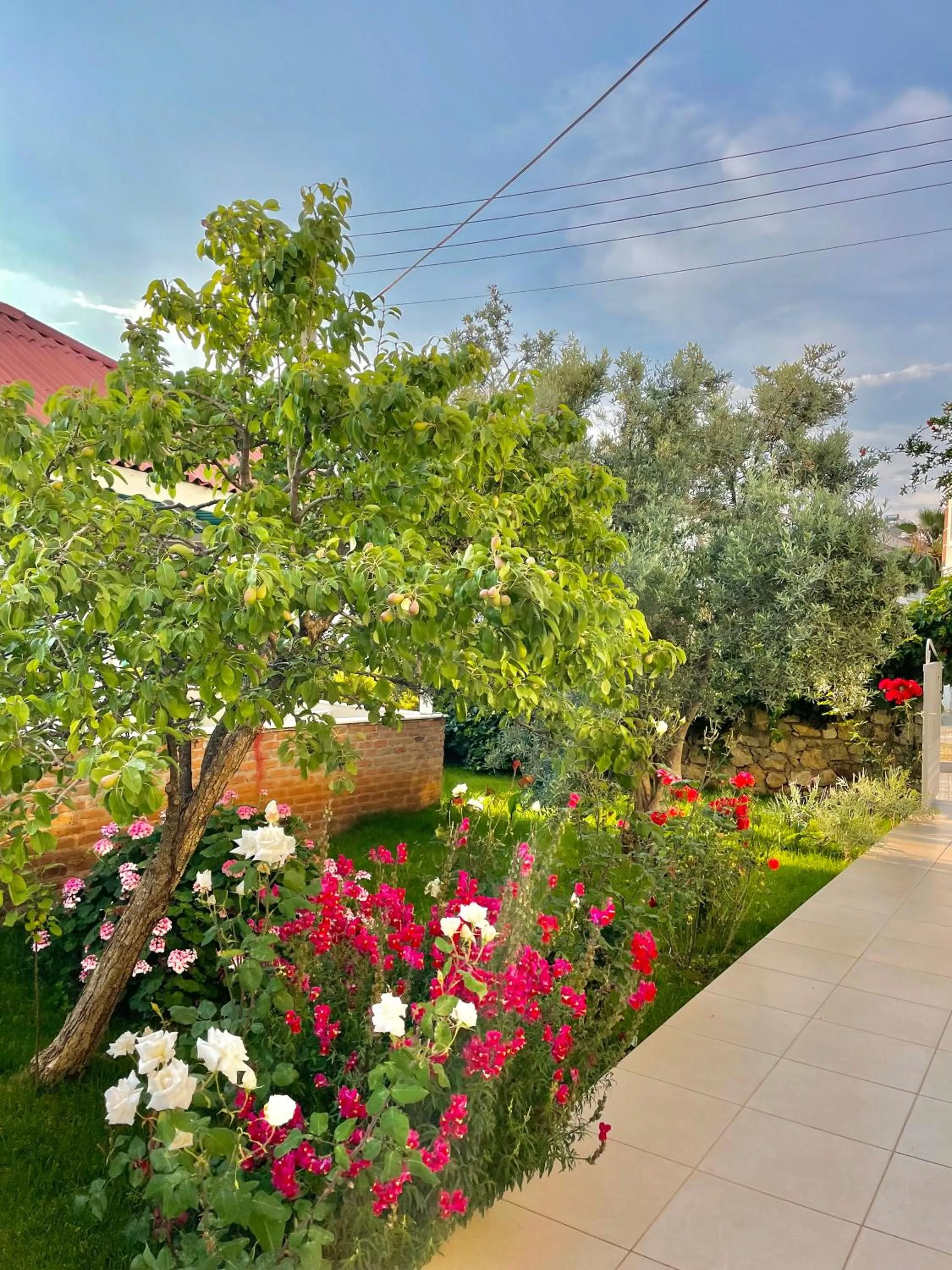 Garden in Cennet Hotel