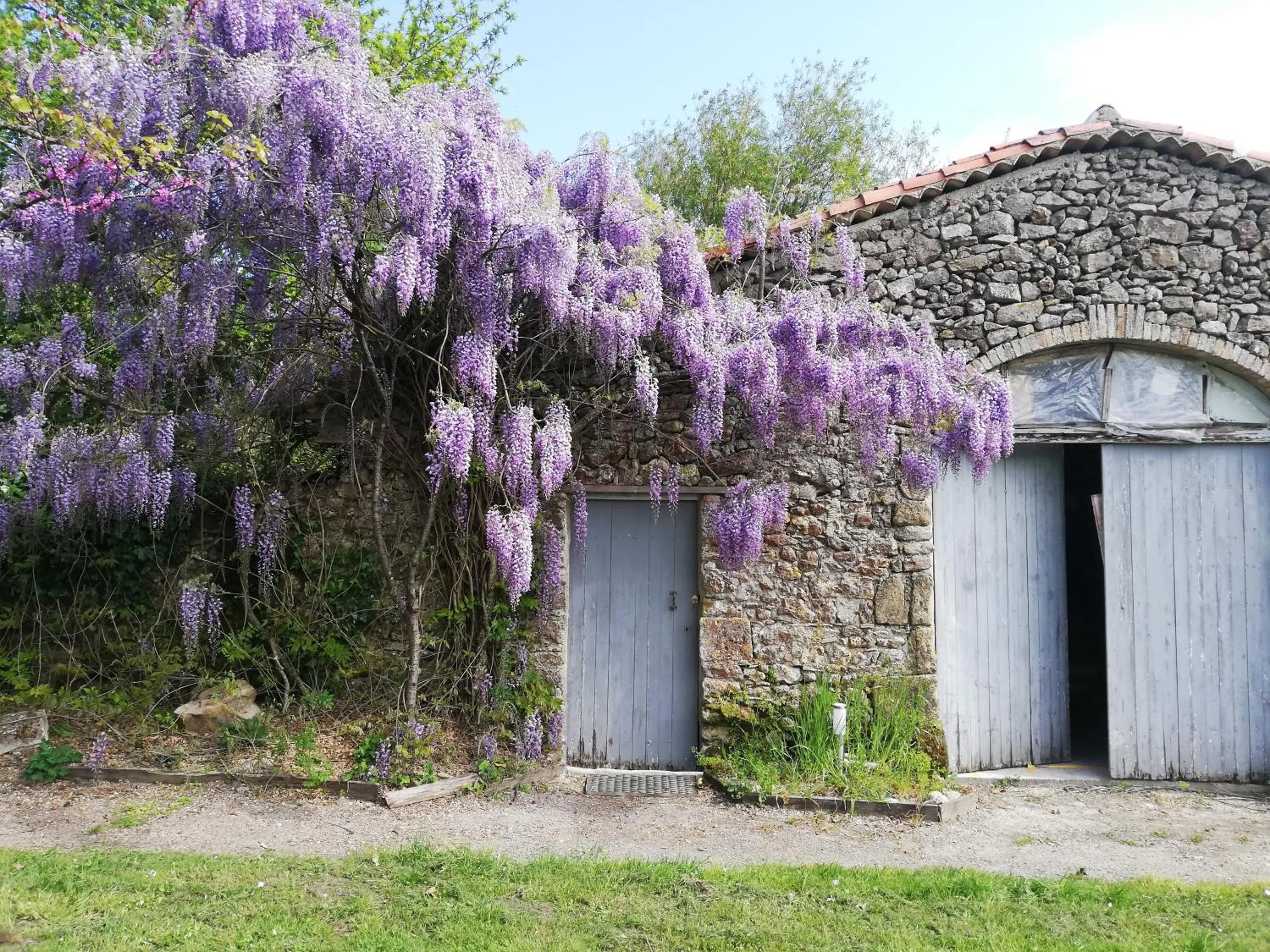 Garden in Au Logis de la Mongie
