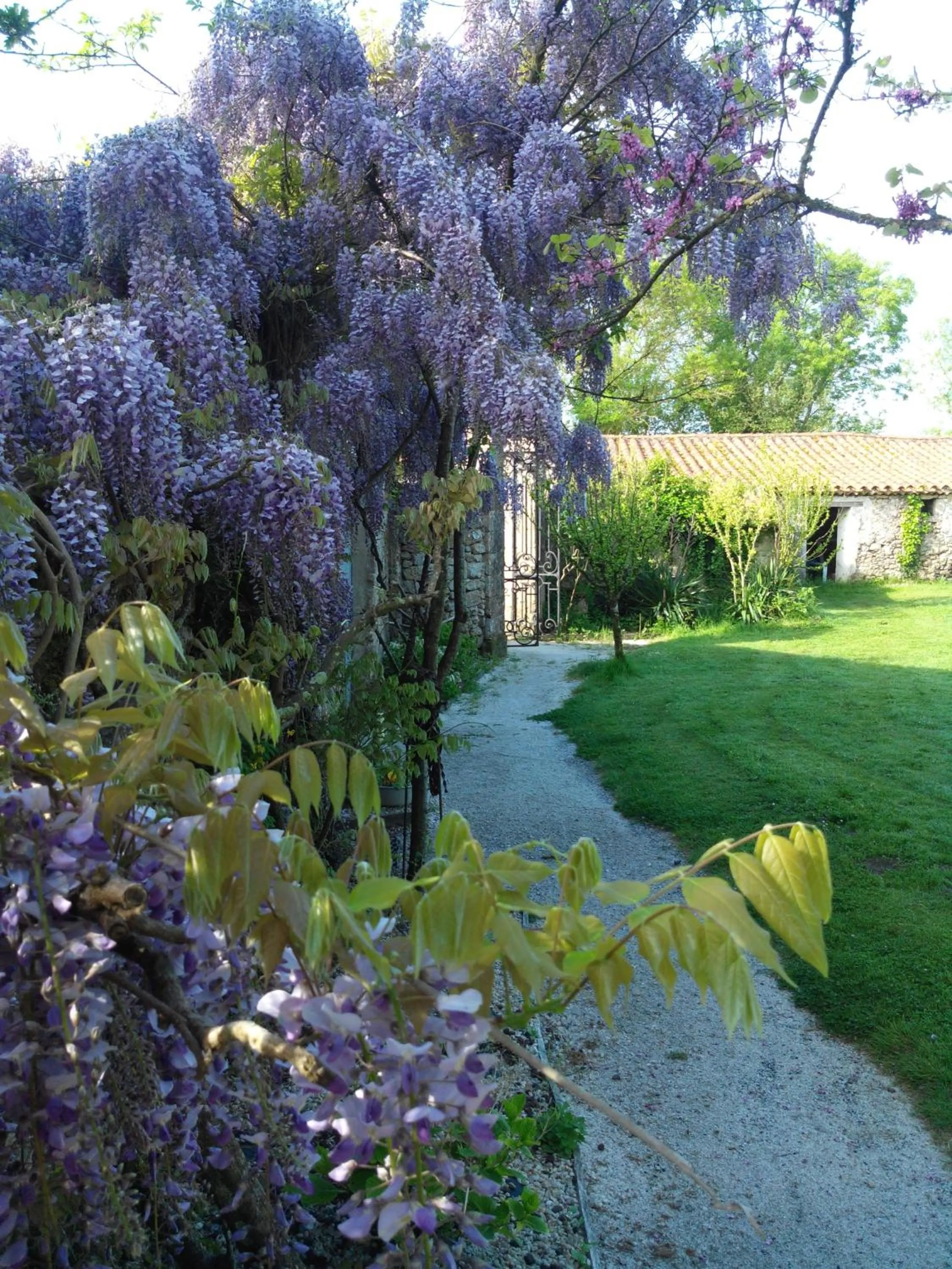 Garden in Au Logis de la Mongie