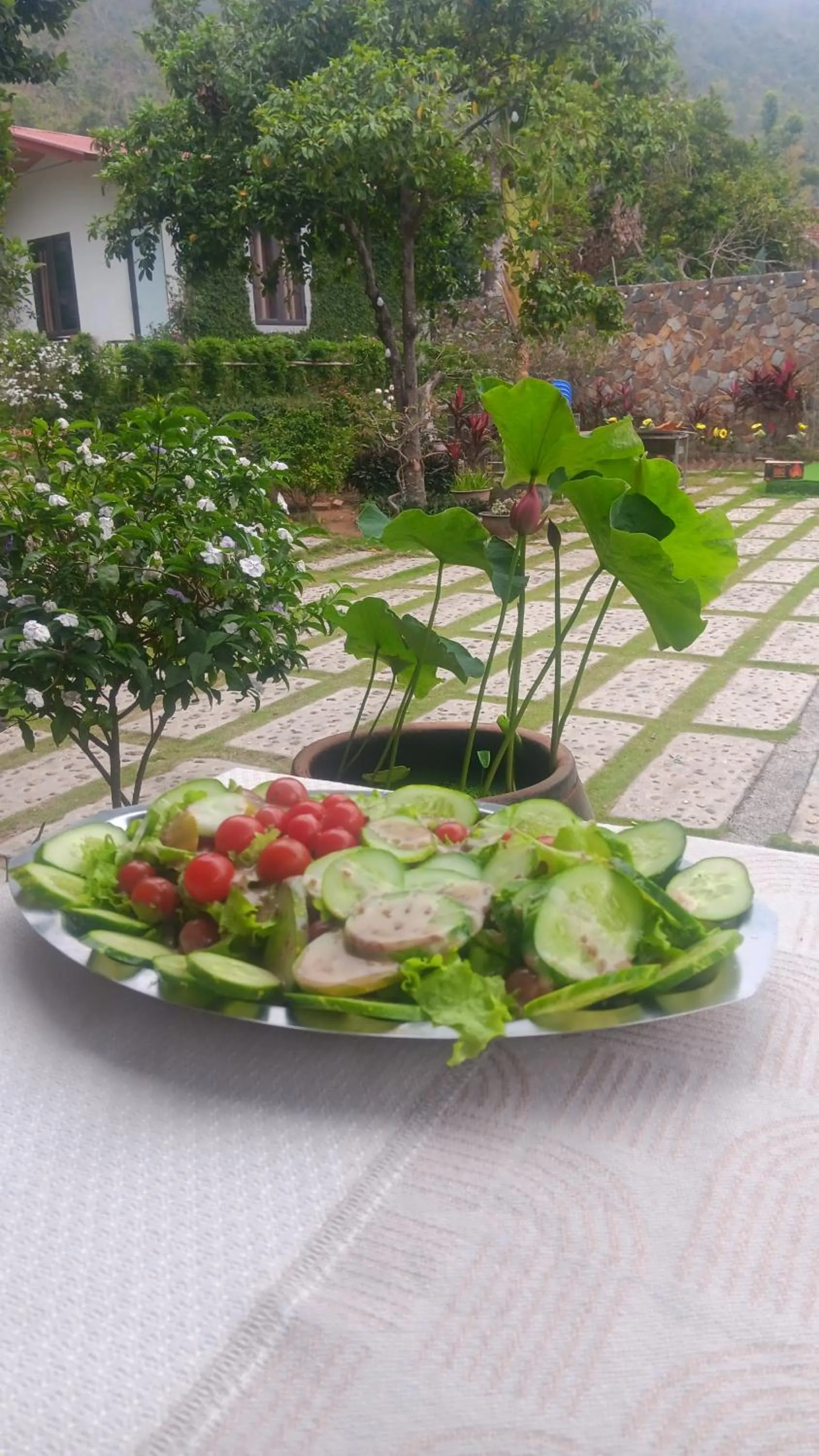 Garden in Tran Chau Garden Home