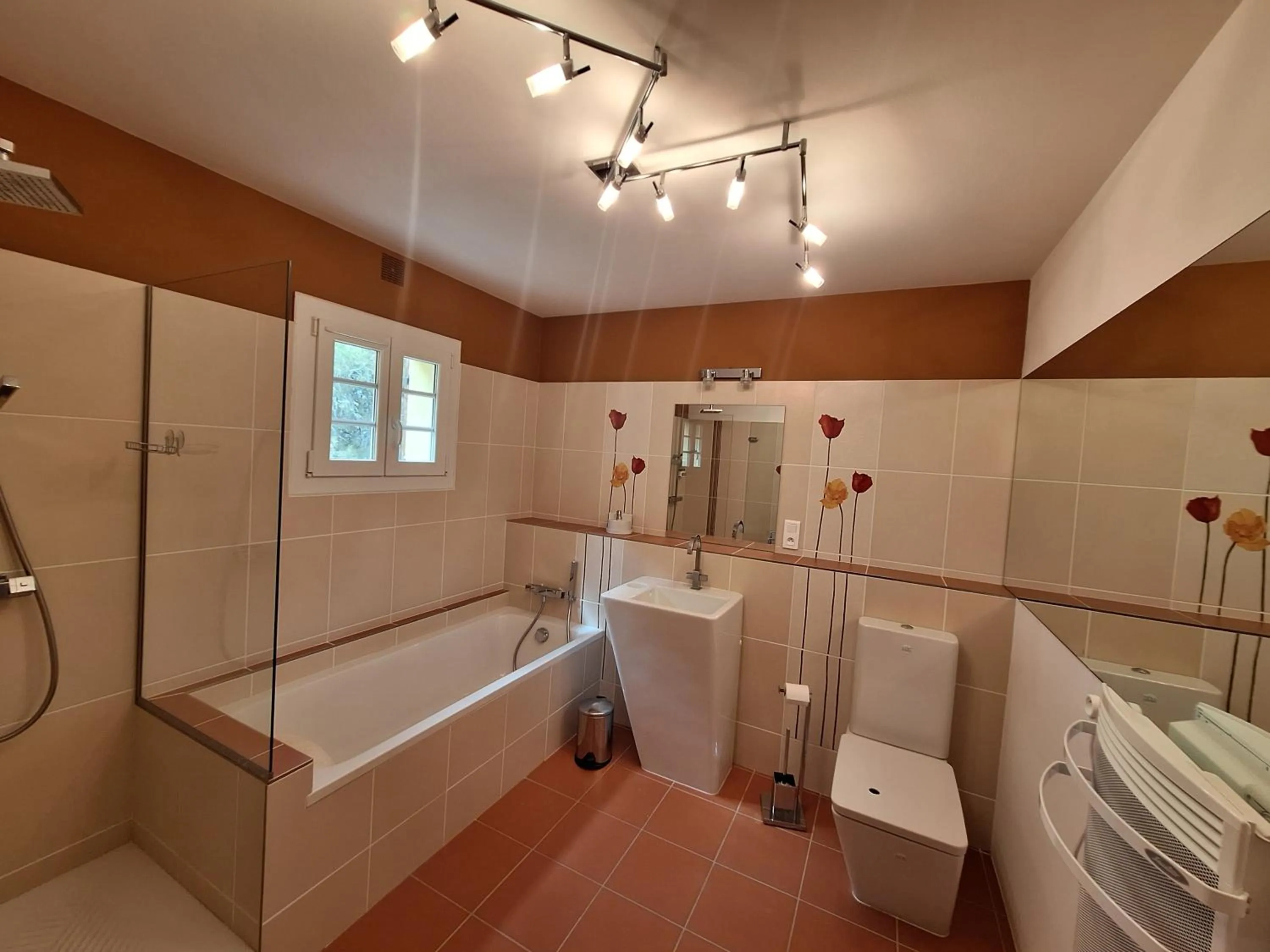 Shower in Suite Anduze