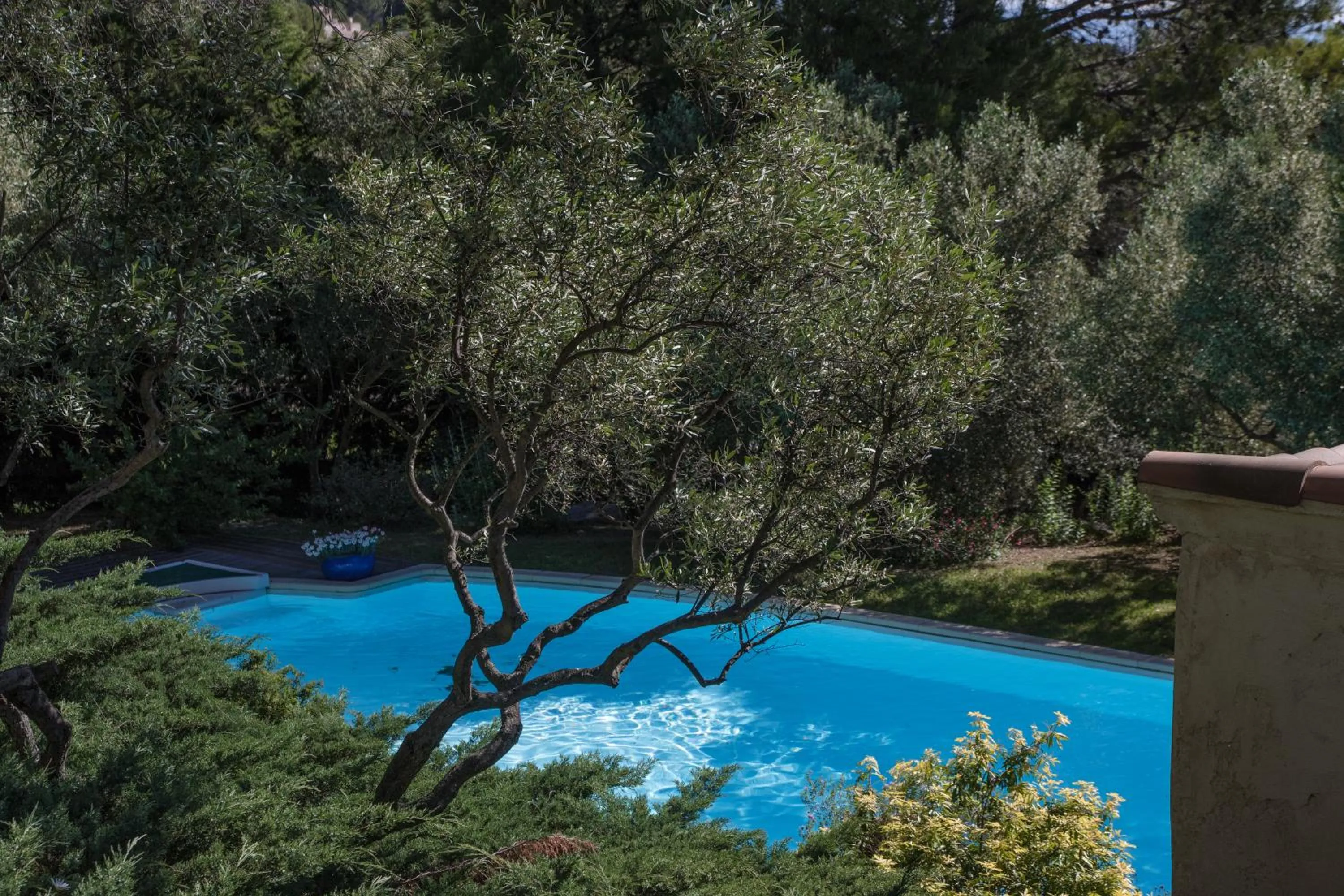 Garden in Suite Anduze