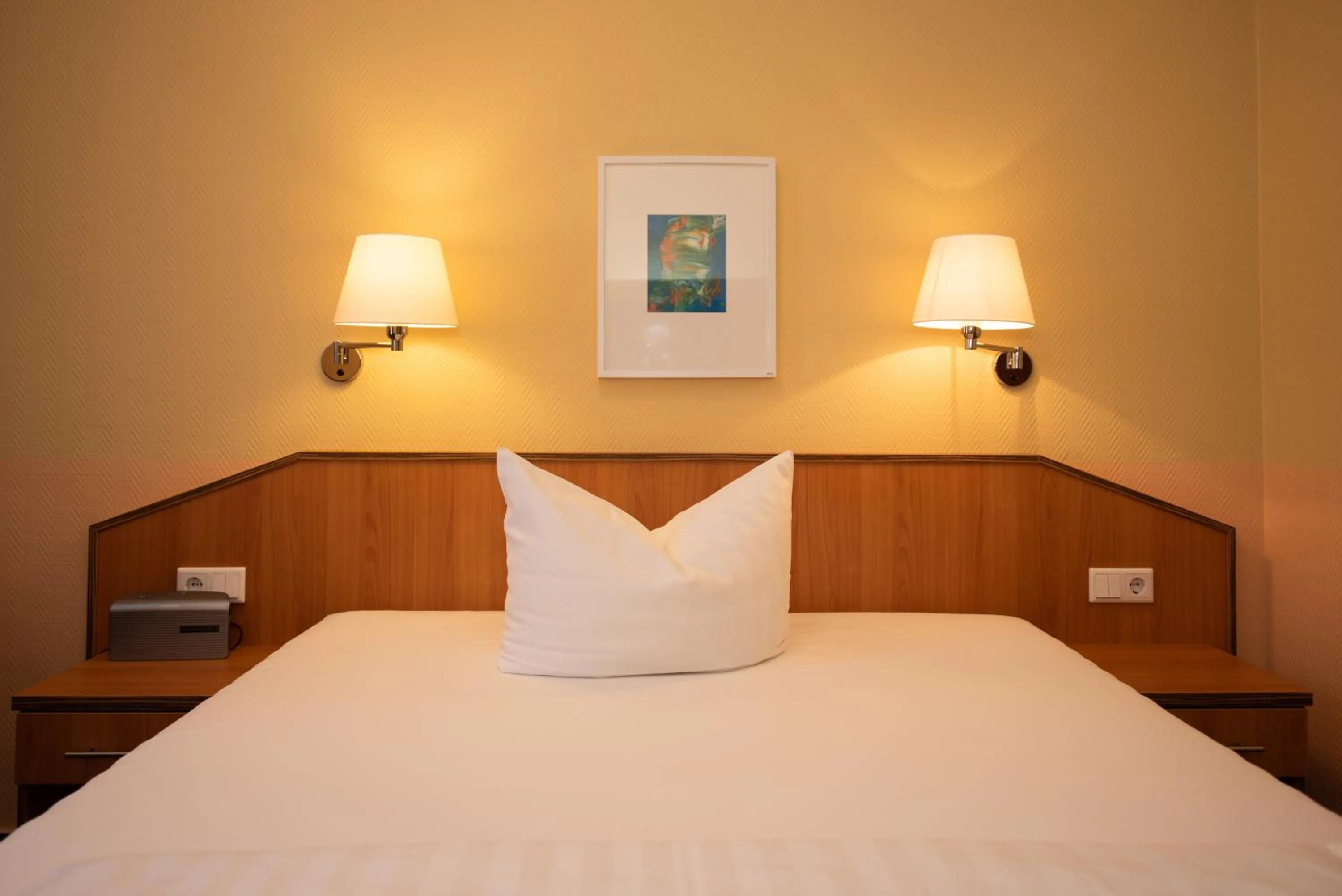 Photo of the whole room, Bed in Hotel Europa