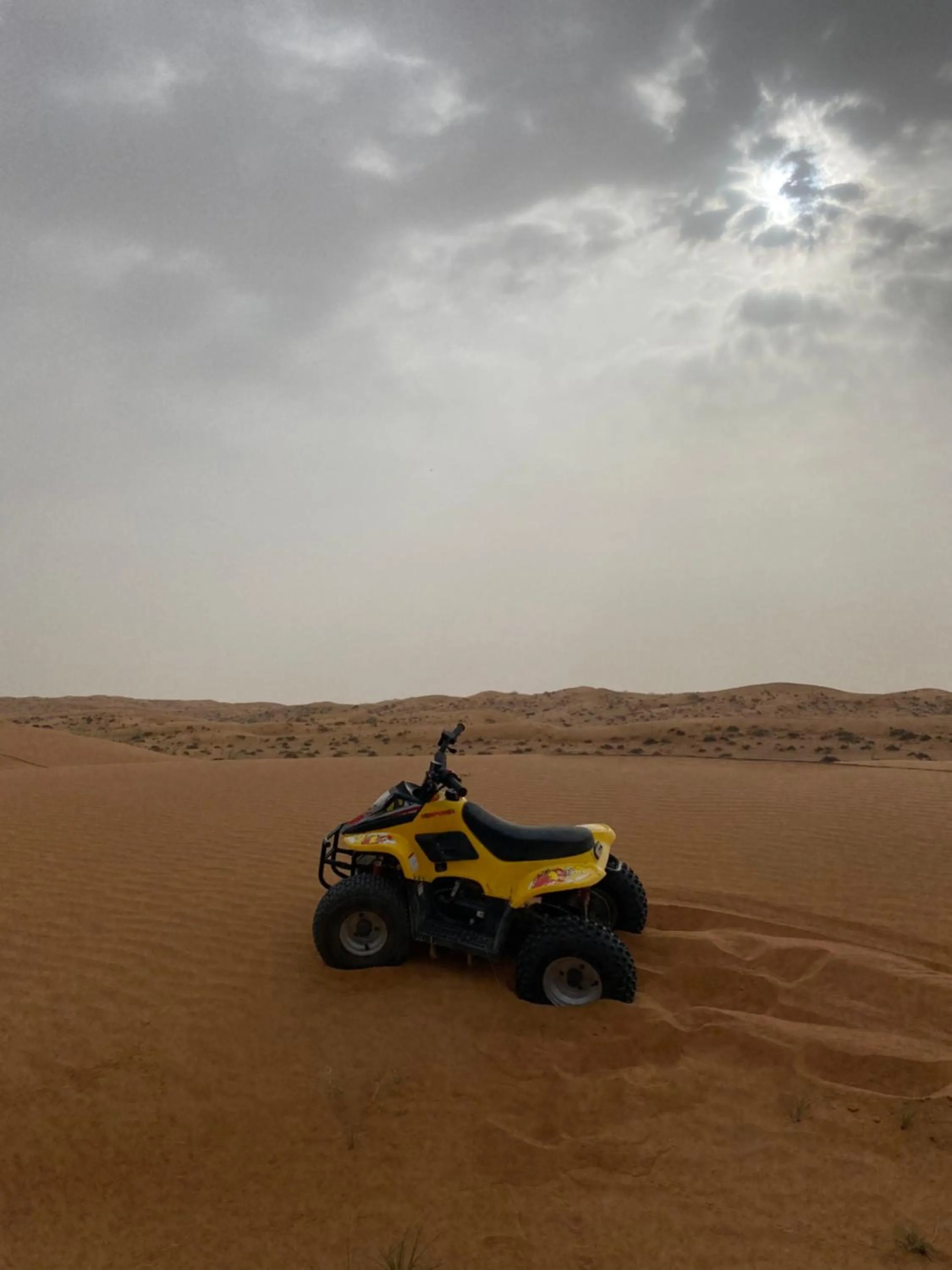 Desert Inn Resort and Camp