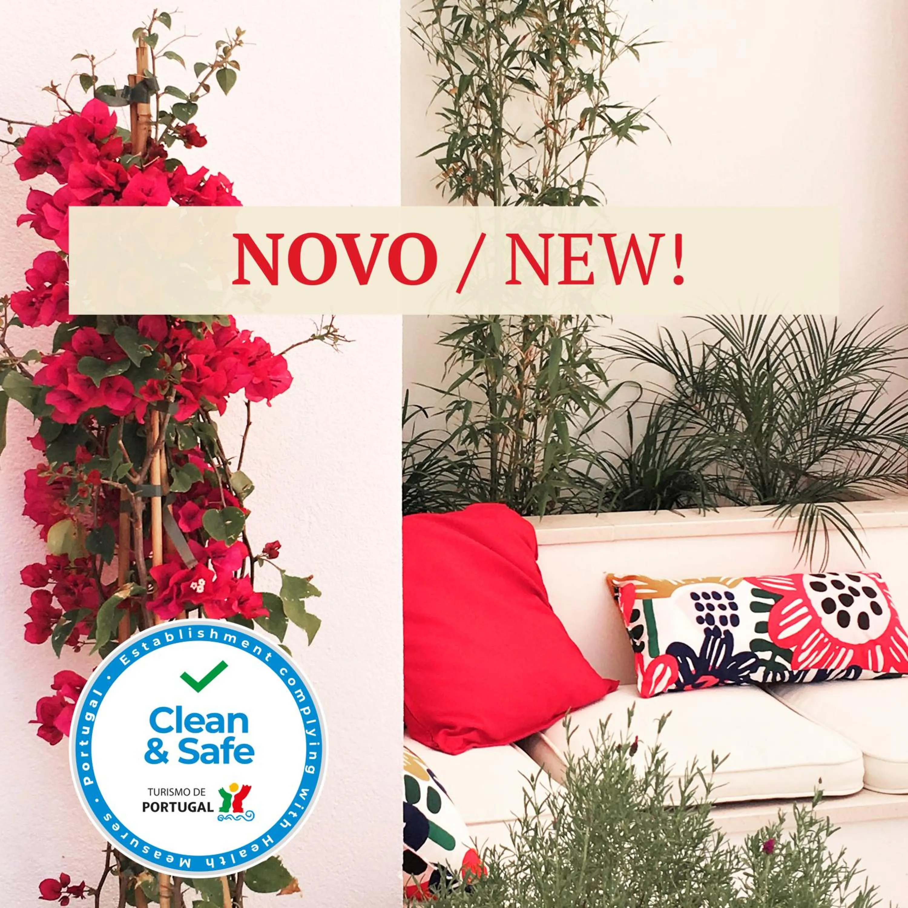 Patio in Cardeal Suites & Apartments