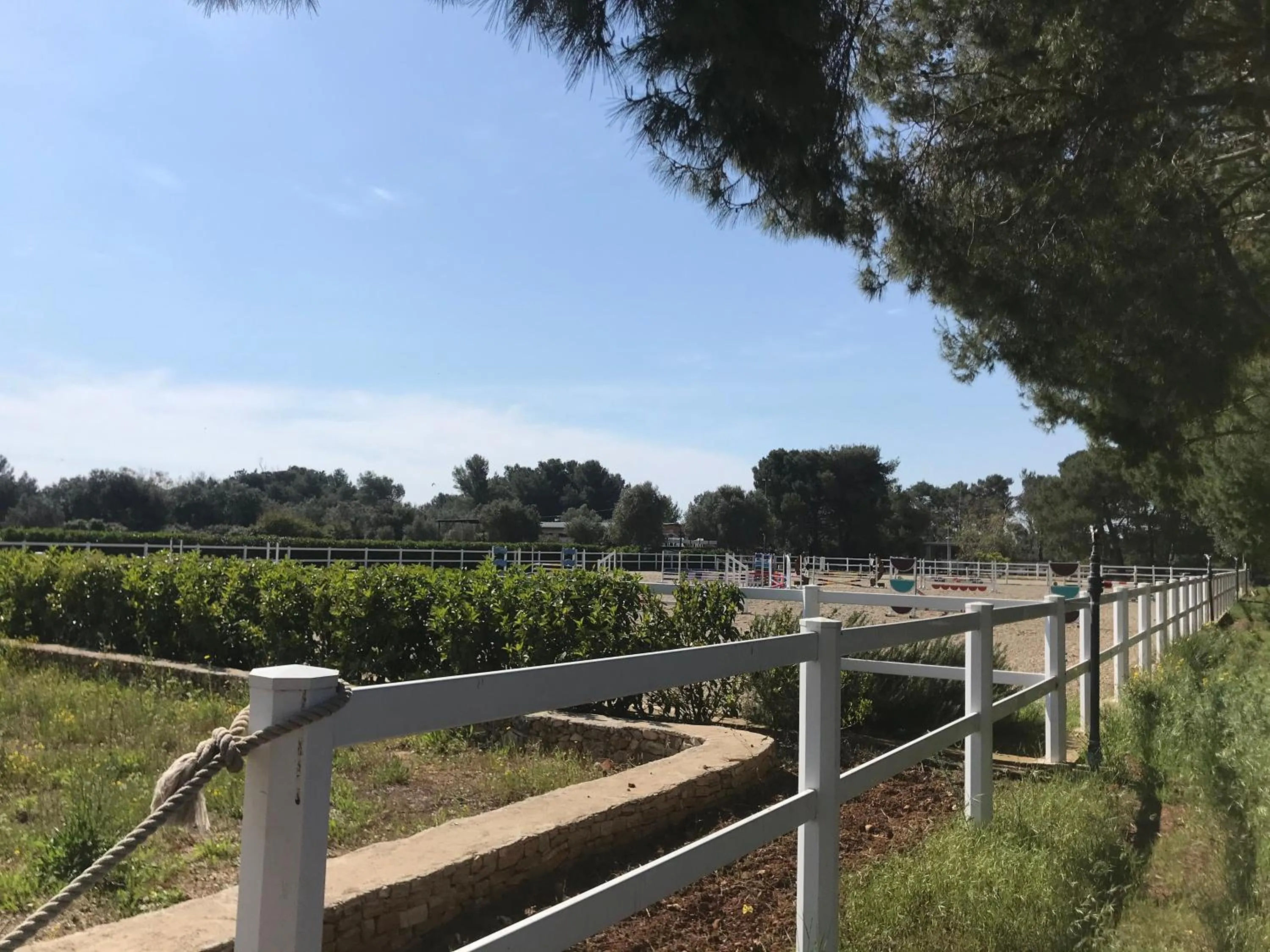 Natural landscape in B&B TENUTA AGNUSDEI