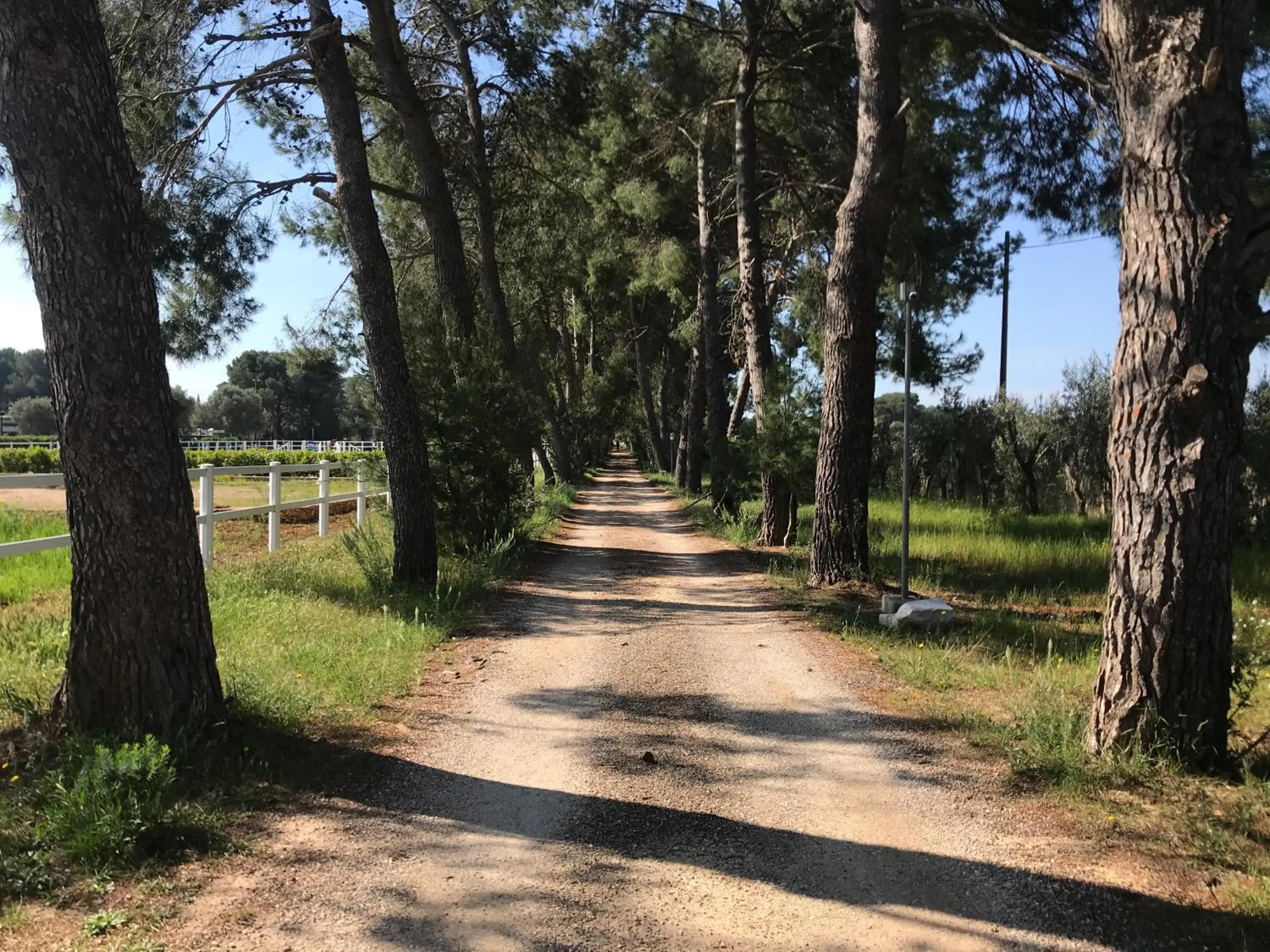 Property building in B&B TENUTA AGNUSDEI