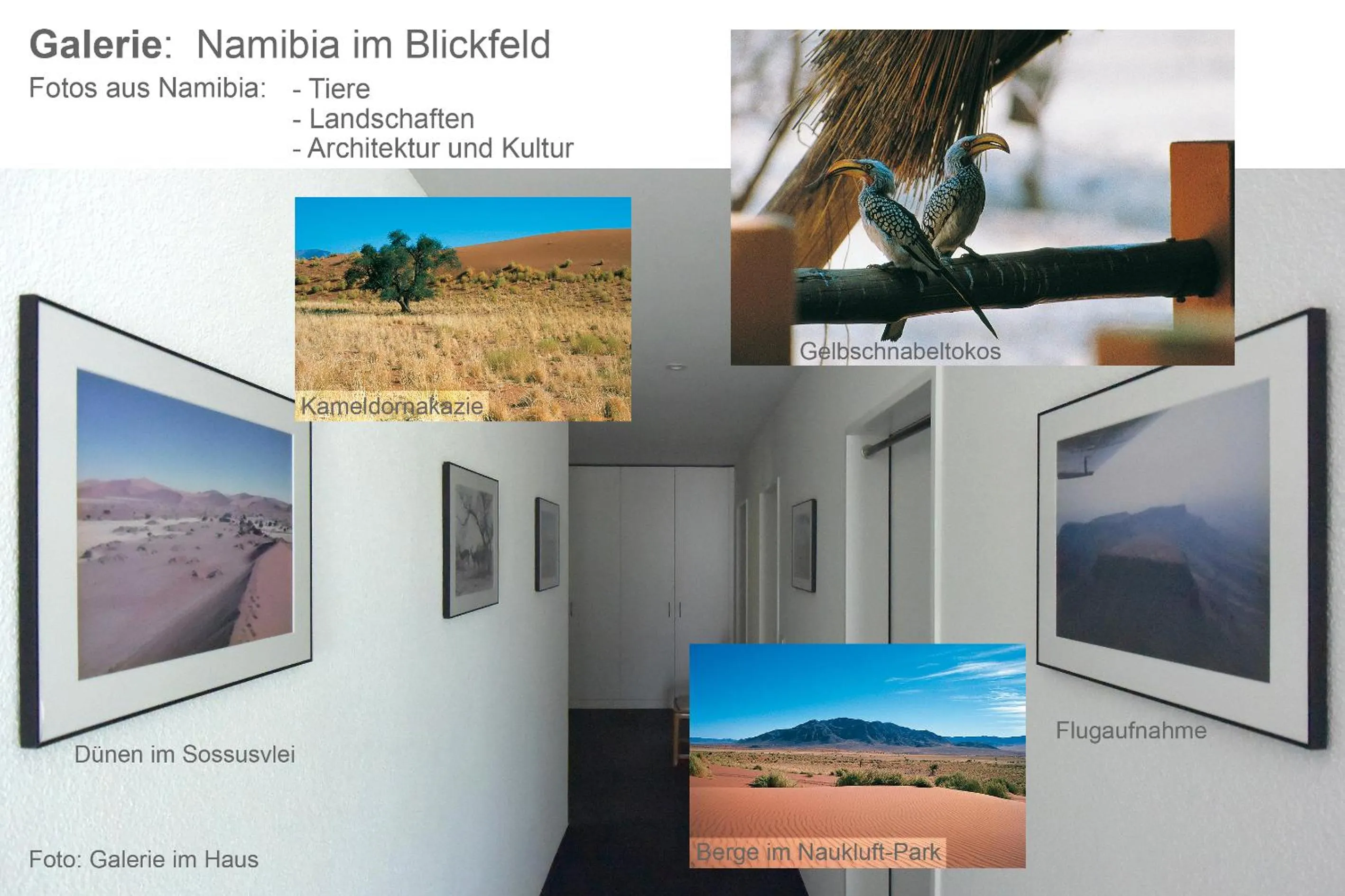 Entertainment in BnB 5430