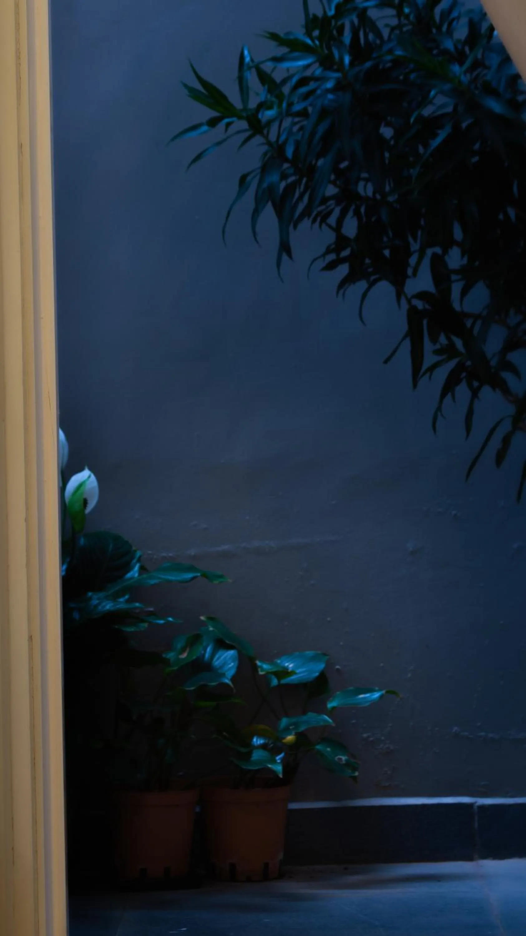 Le Soleil Boutique Hotel