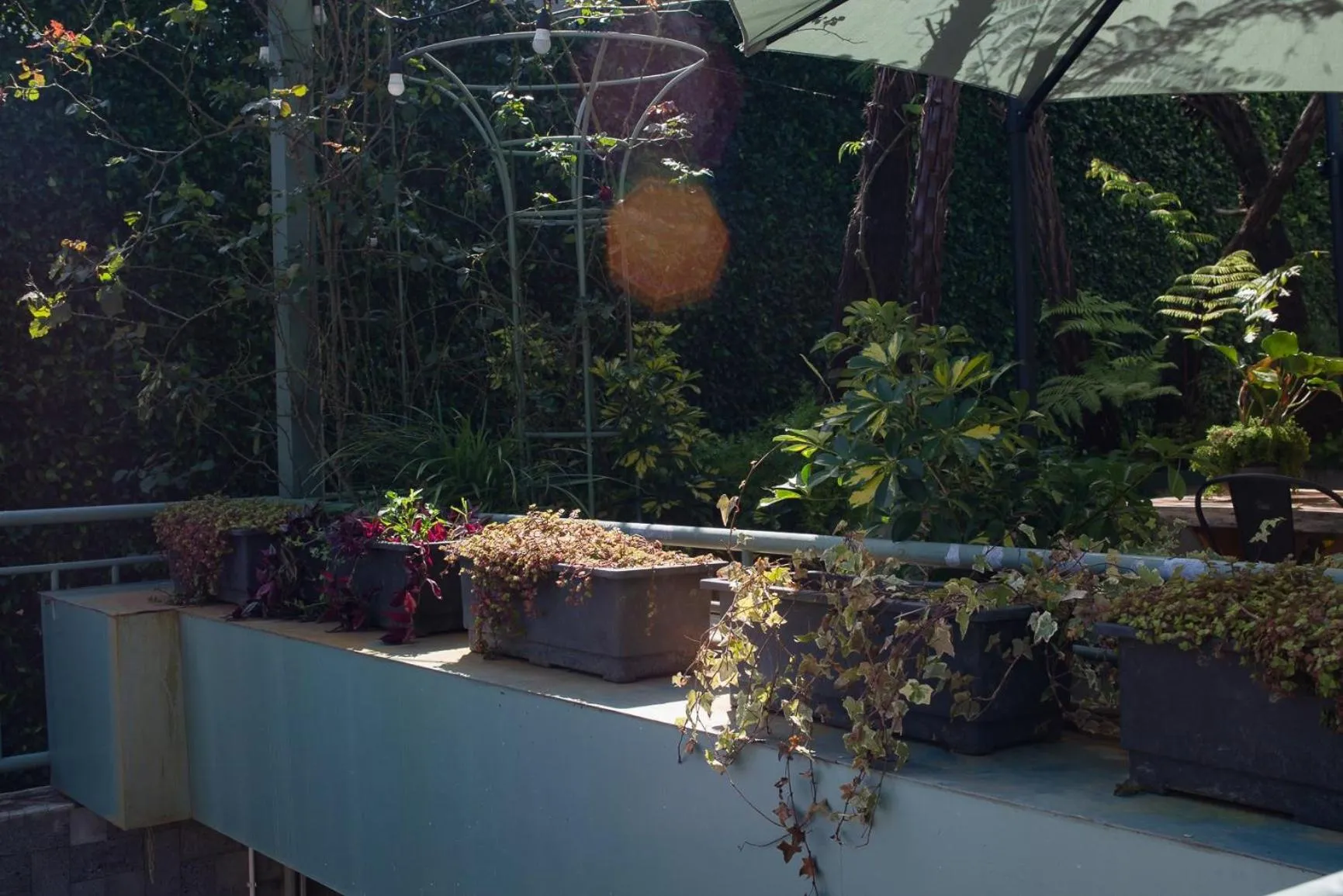 Le Soleil Boutique Hotel