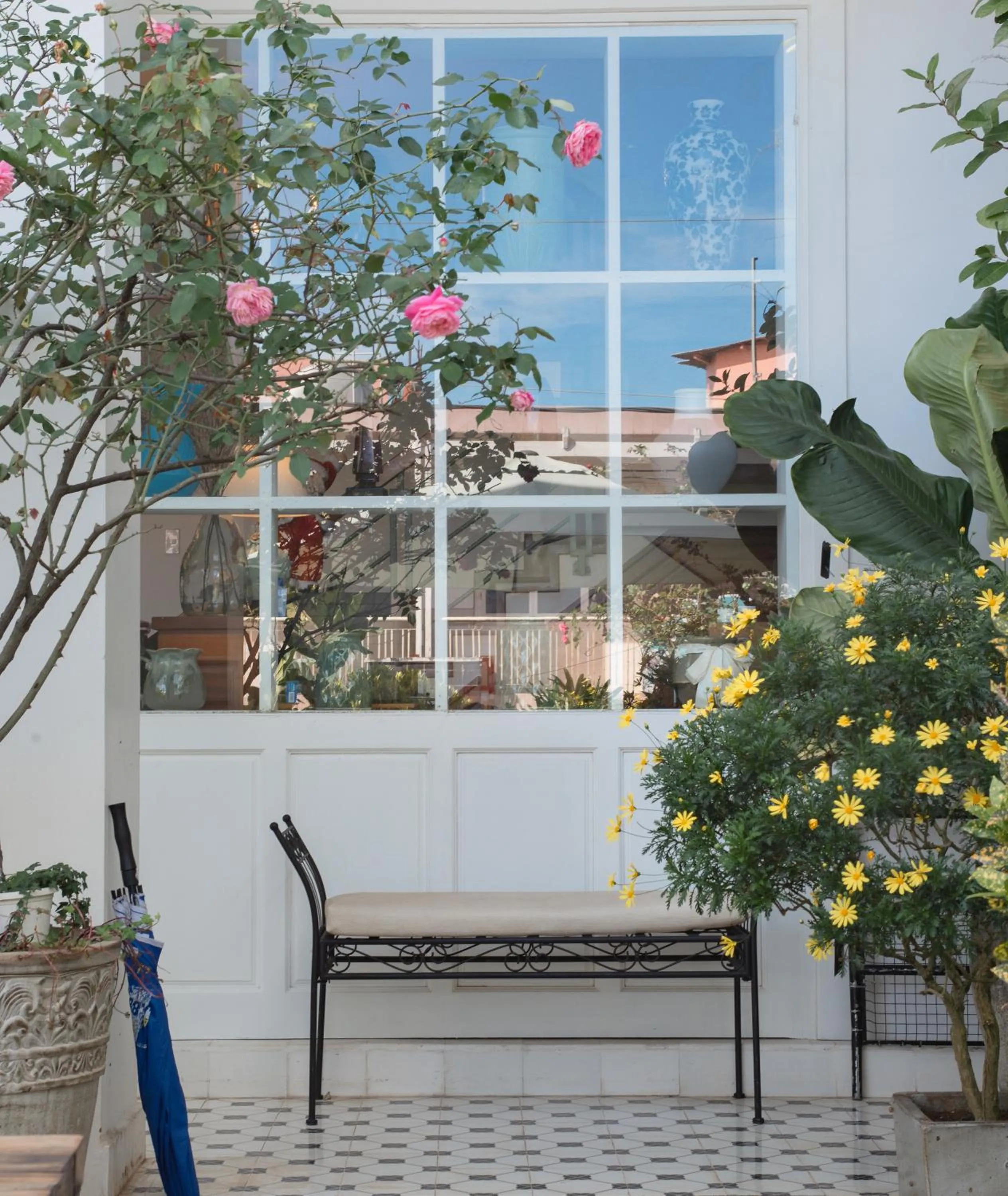 Garden in Le Soleil Boutique Hotel