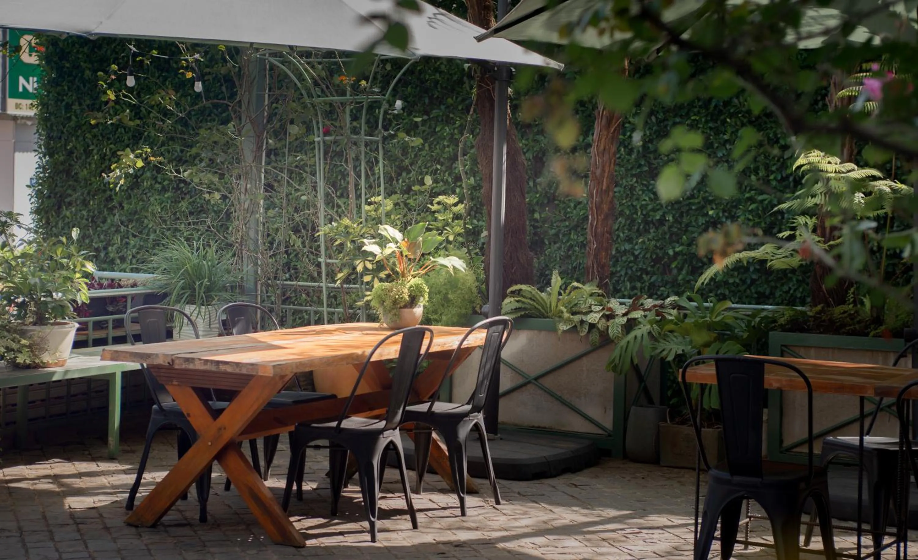 Garden in Le Soleil Boutique Hotel