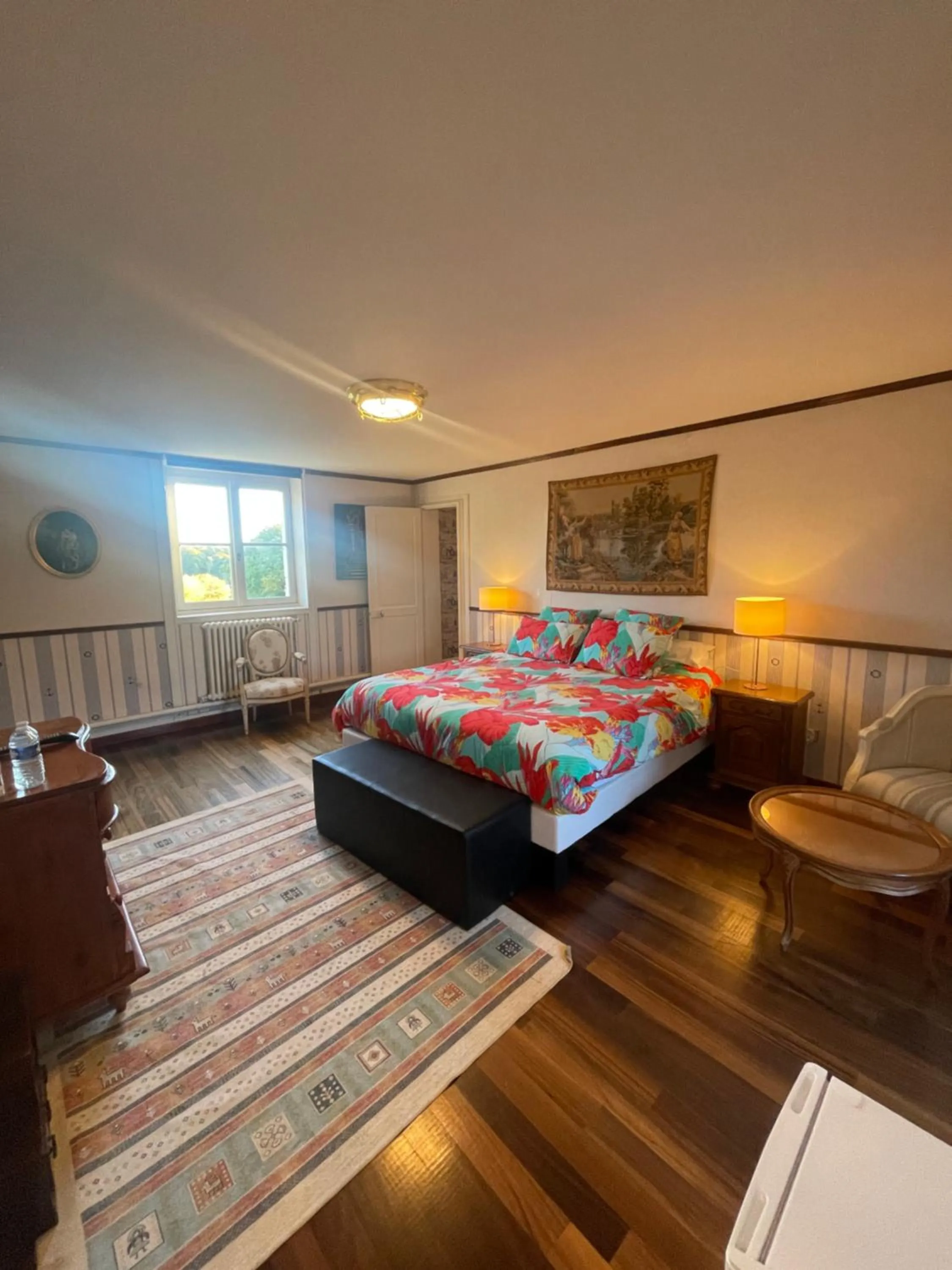 Photo of the whole room, Bed in Château du Boulay Morin