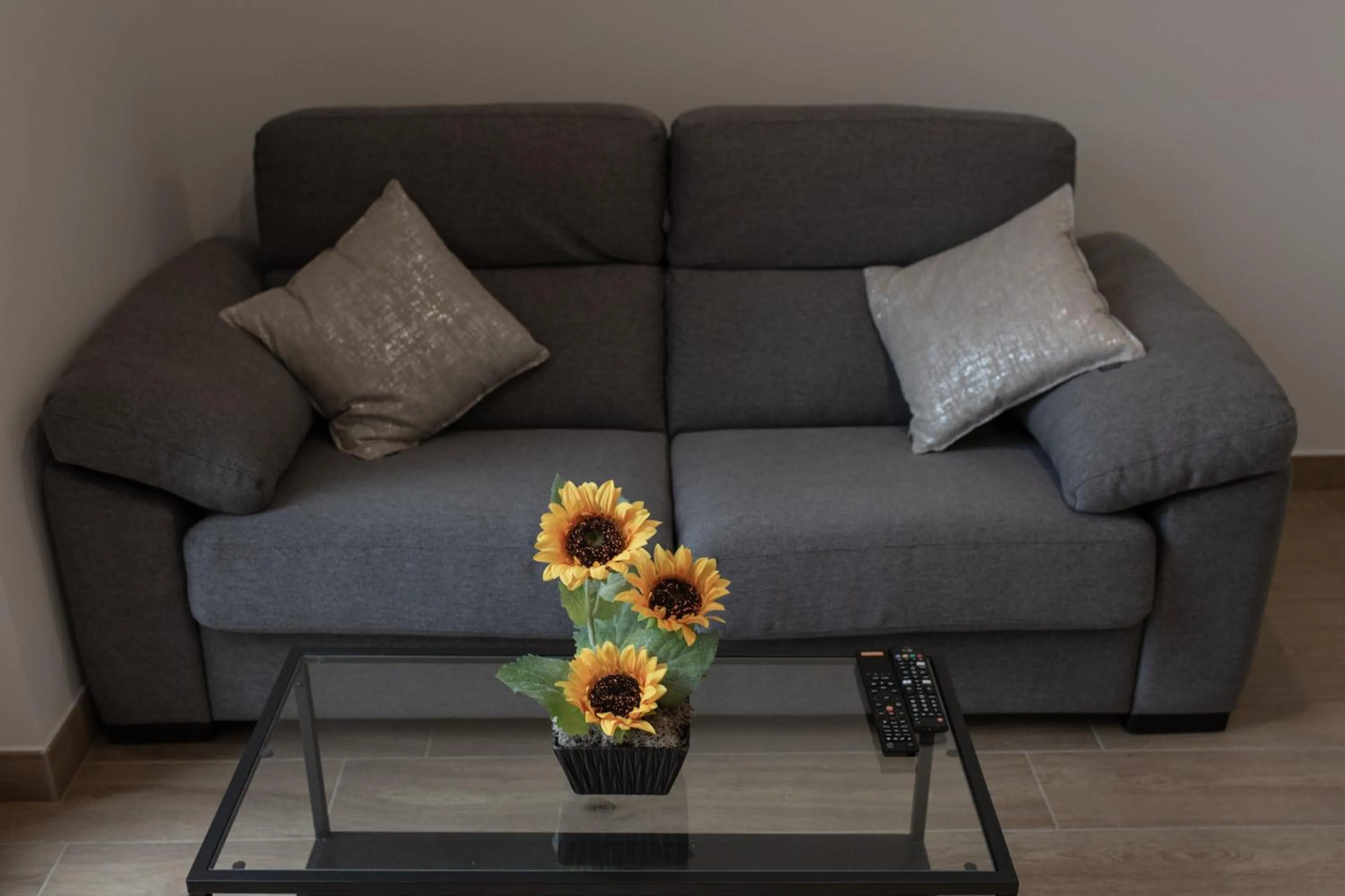 Loft en Zarautz con Parking Hator 2