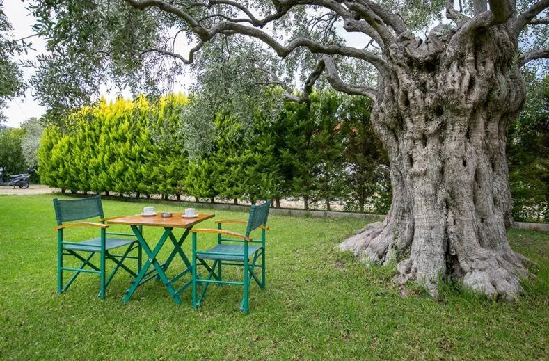 Garden in Makedonia