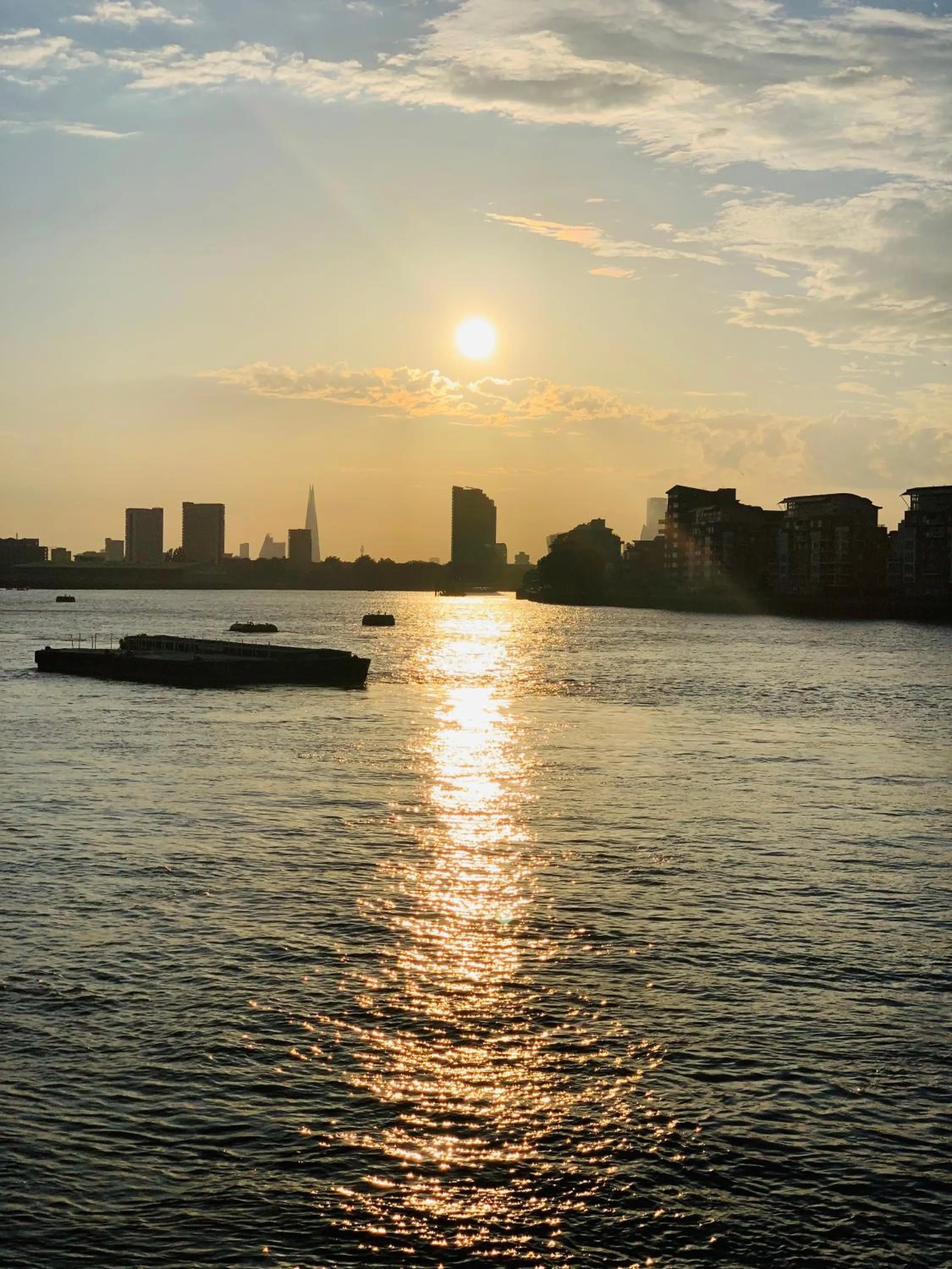 Natural landscape in SE10 House