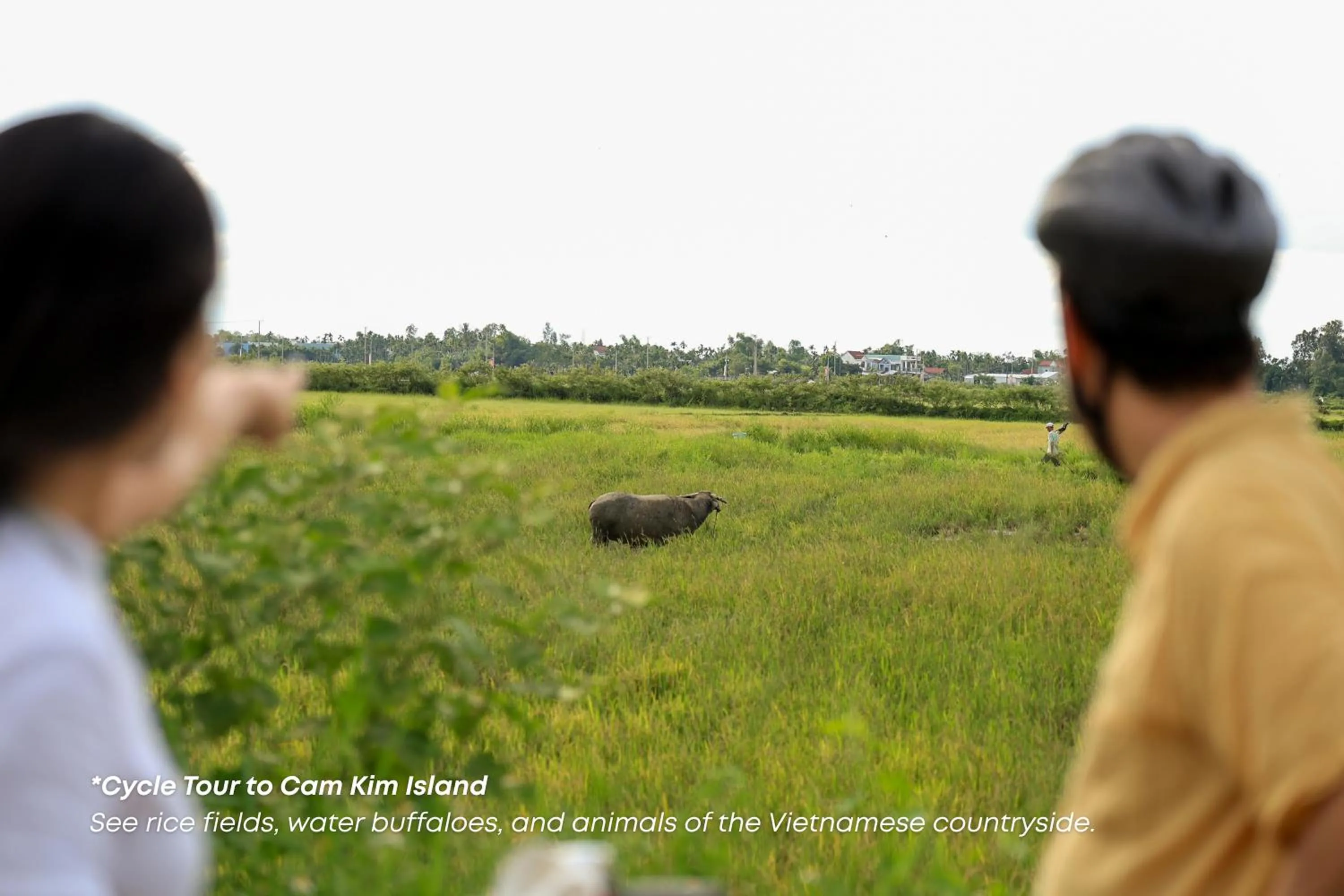 Hoianese Pool & Sunset Hotel - Cultural Experiential Hotel