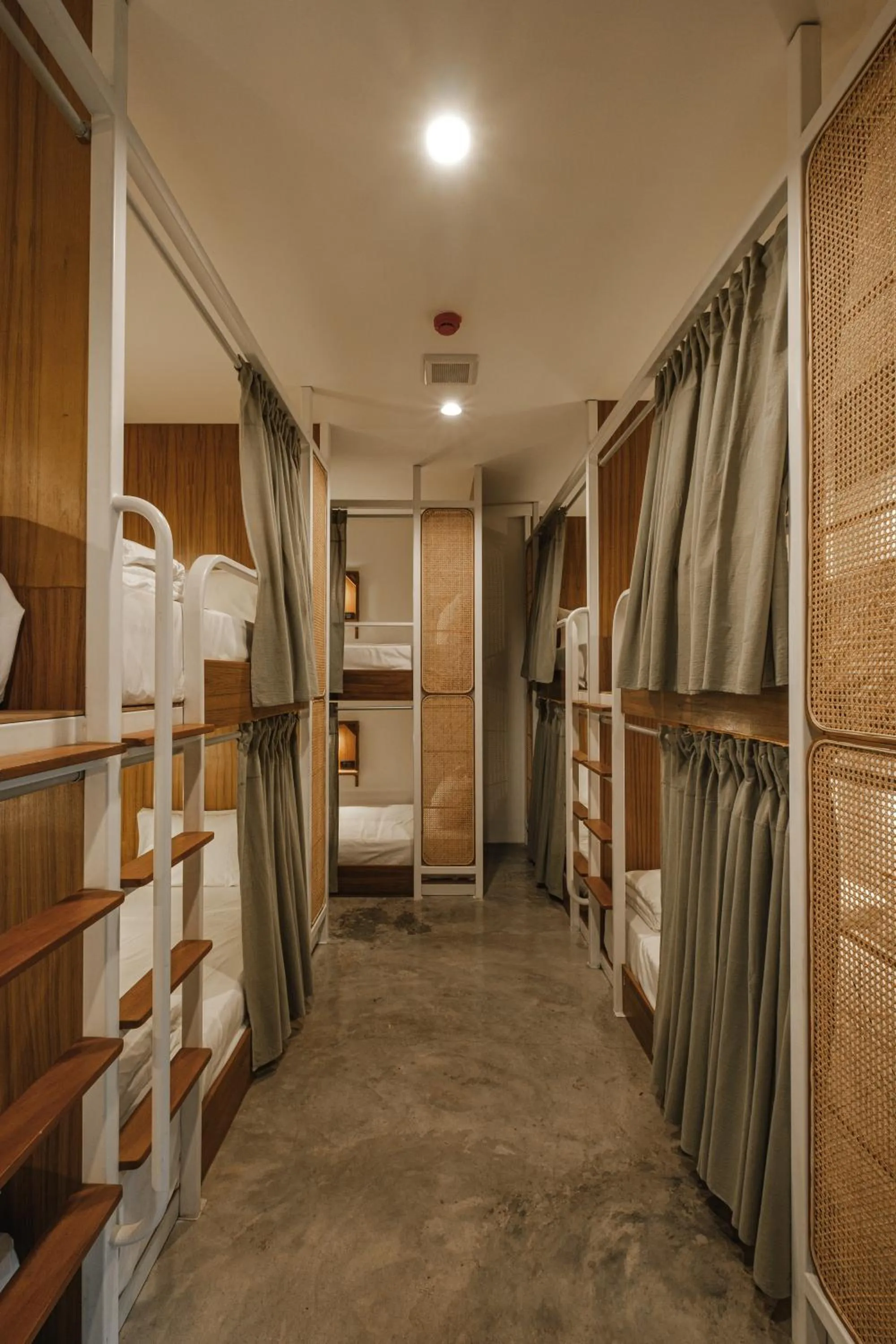 bunk bed, Bed in Hidden Garden Hostel