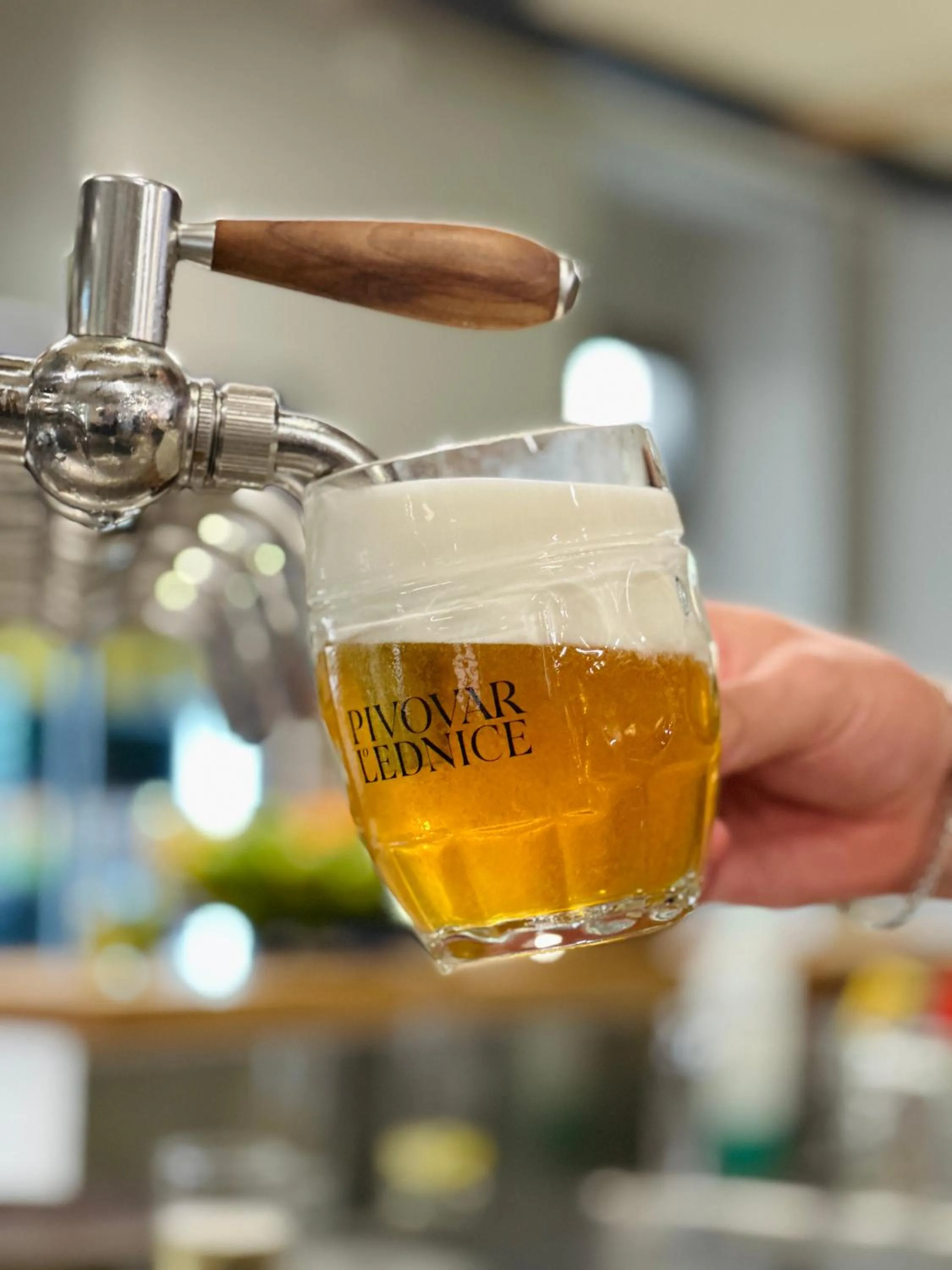 Restaurant/places to eat in Resort Lednice - Eisgrub