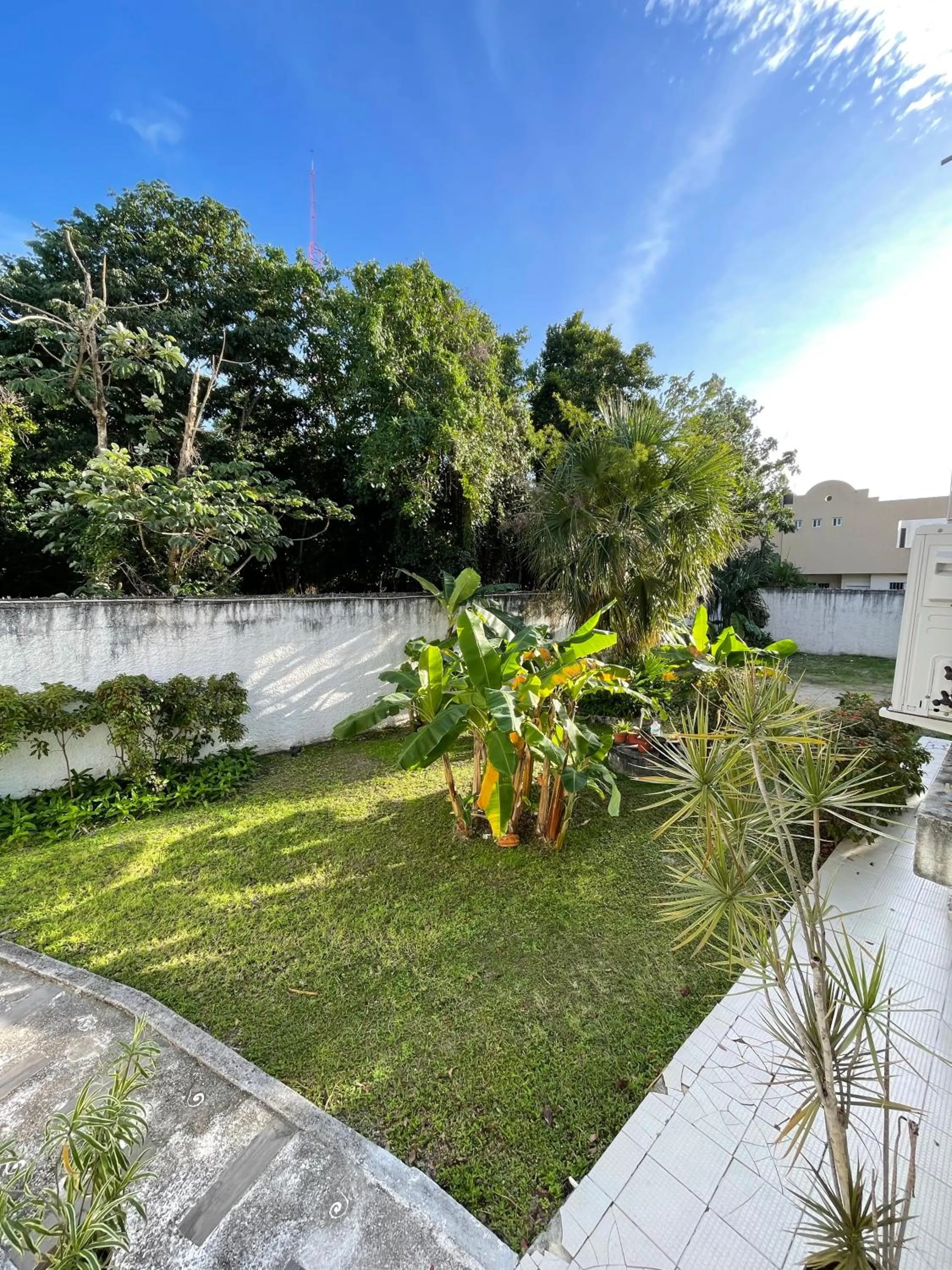 Garden in Hotel Dos Mundos, Isla Cozumel