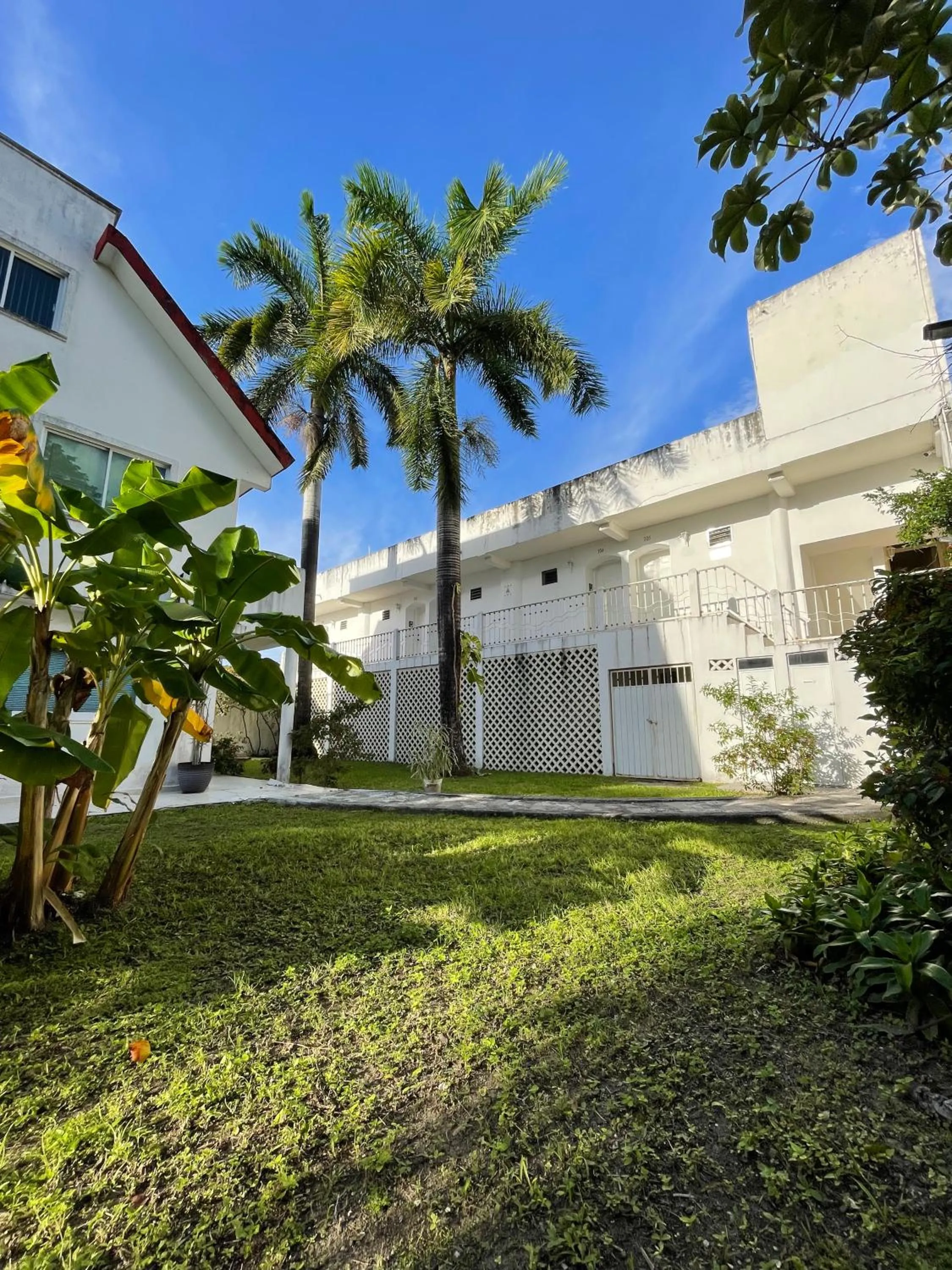 Garden in Hotel Dos Mundos, Isla Cozumel