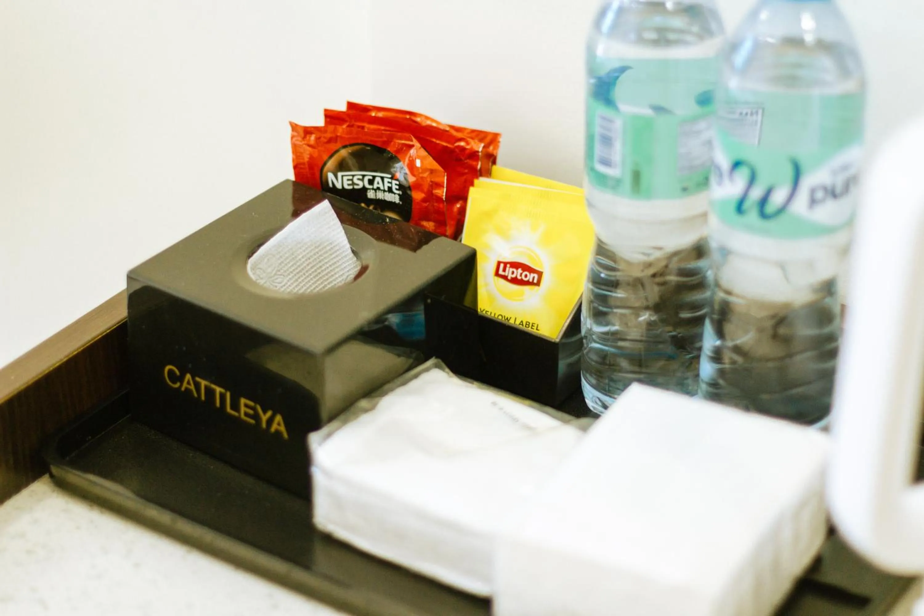 Bohol Cattleya Resort