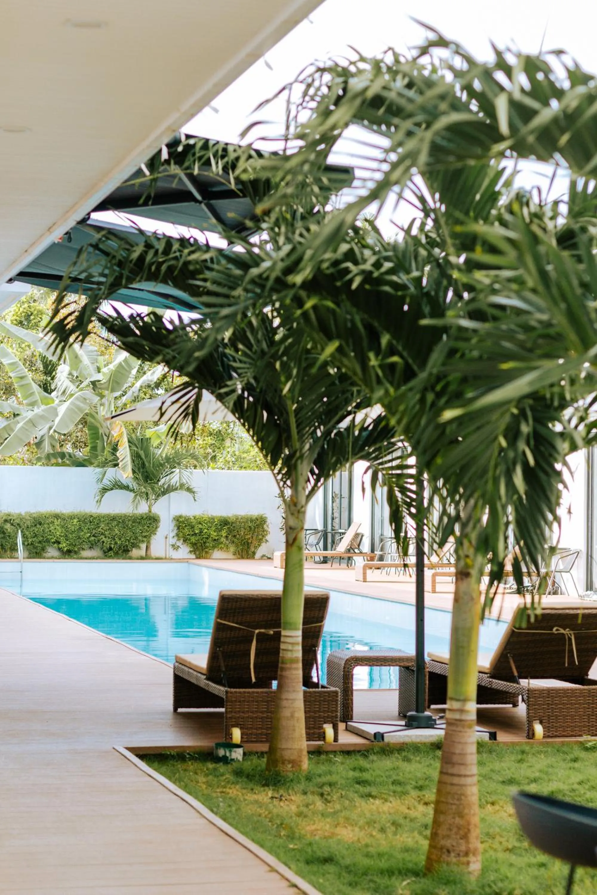 Swimming pool in Bohol Cattleya Resort