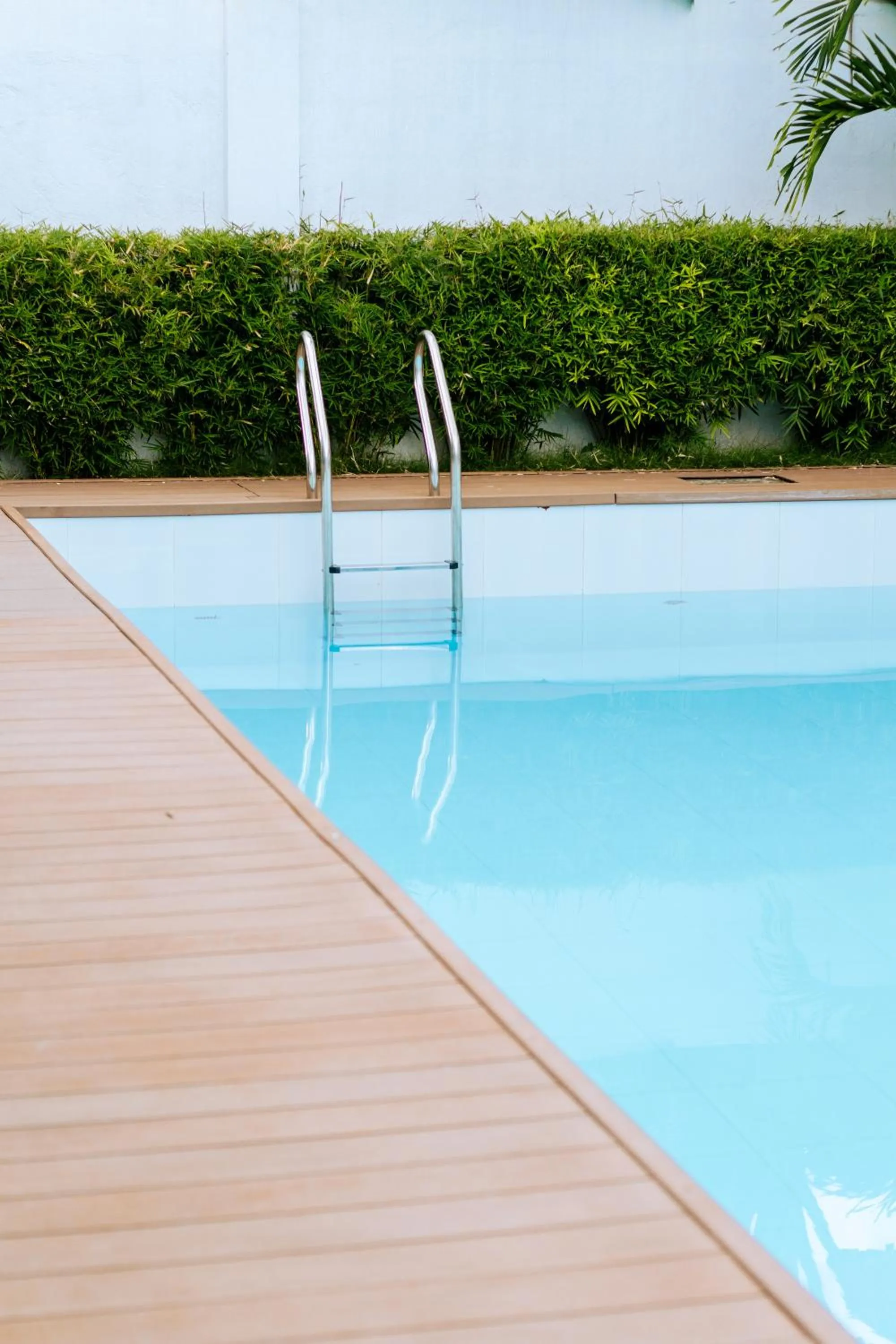 Swimming pool in Bohol Cattleya Resort