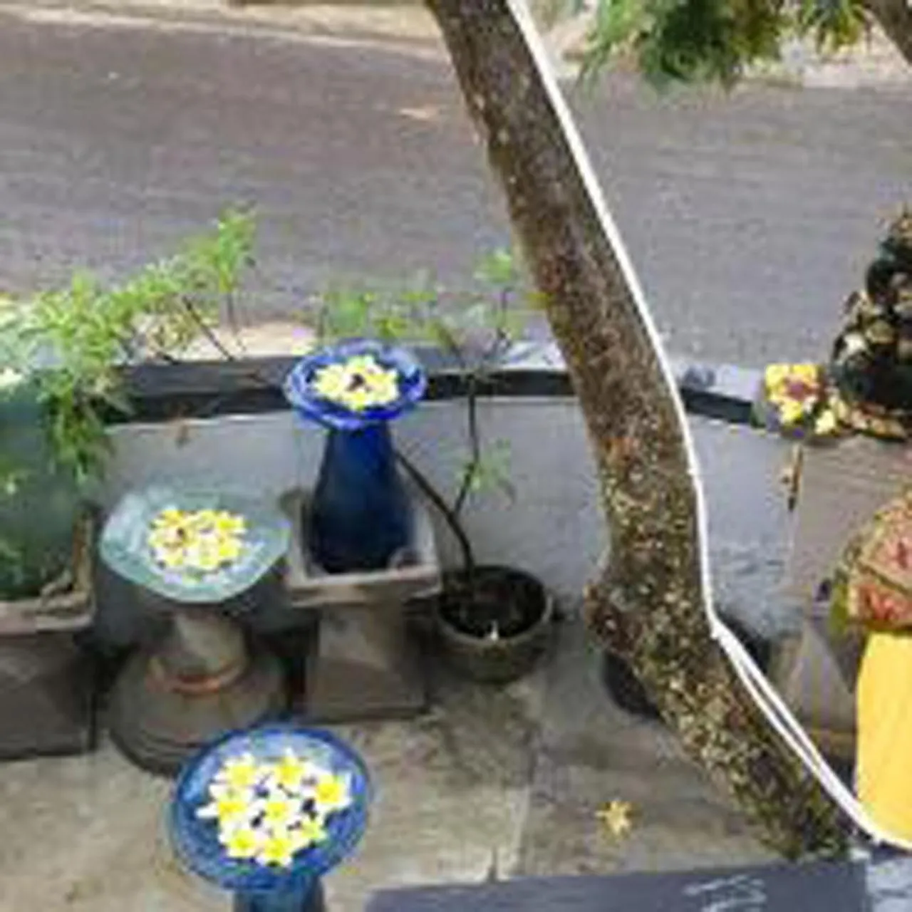 Property building in Bulan Bali Guest House