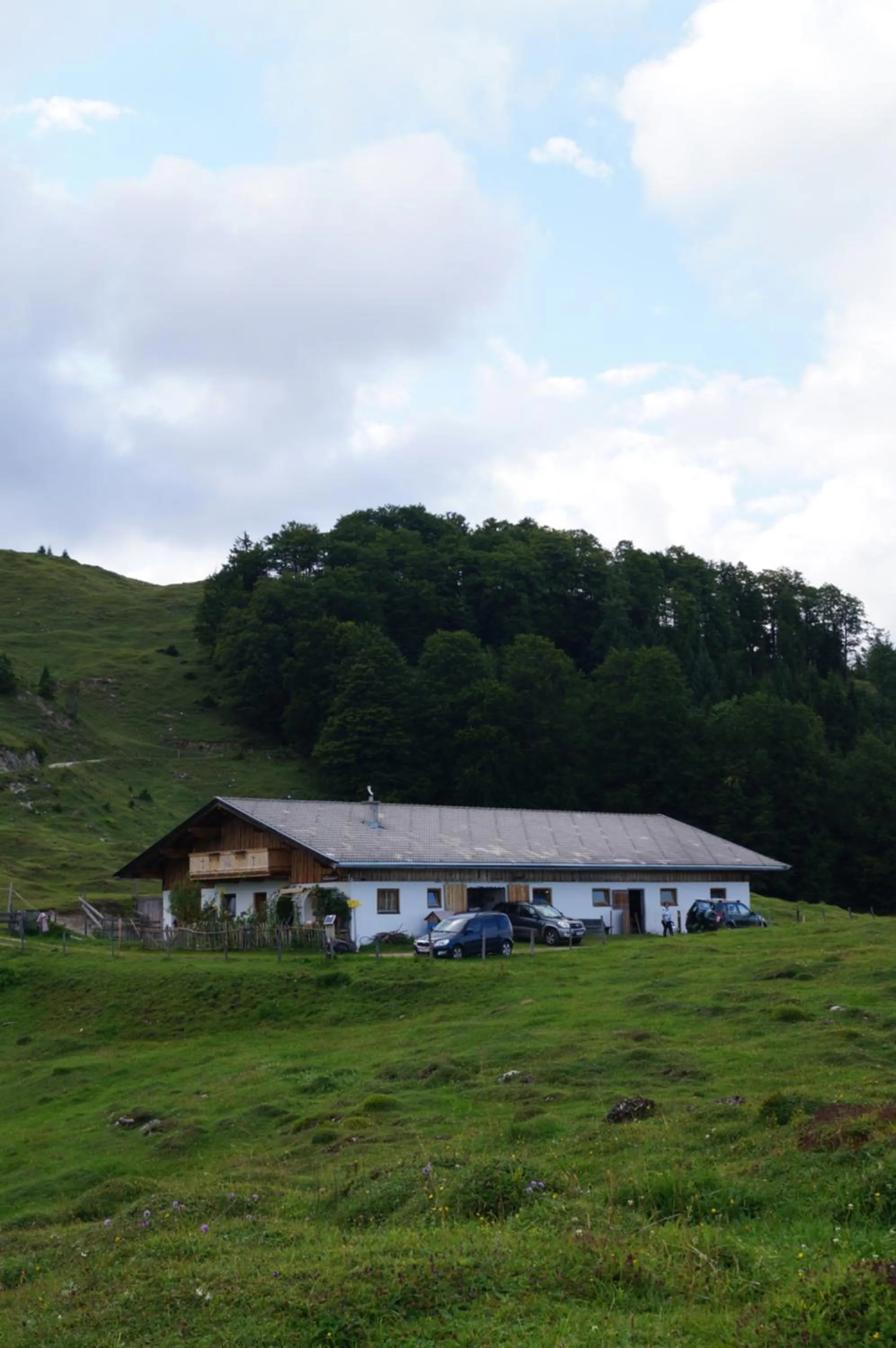 Neighbourhood in Schneiderbauer