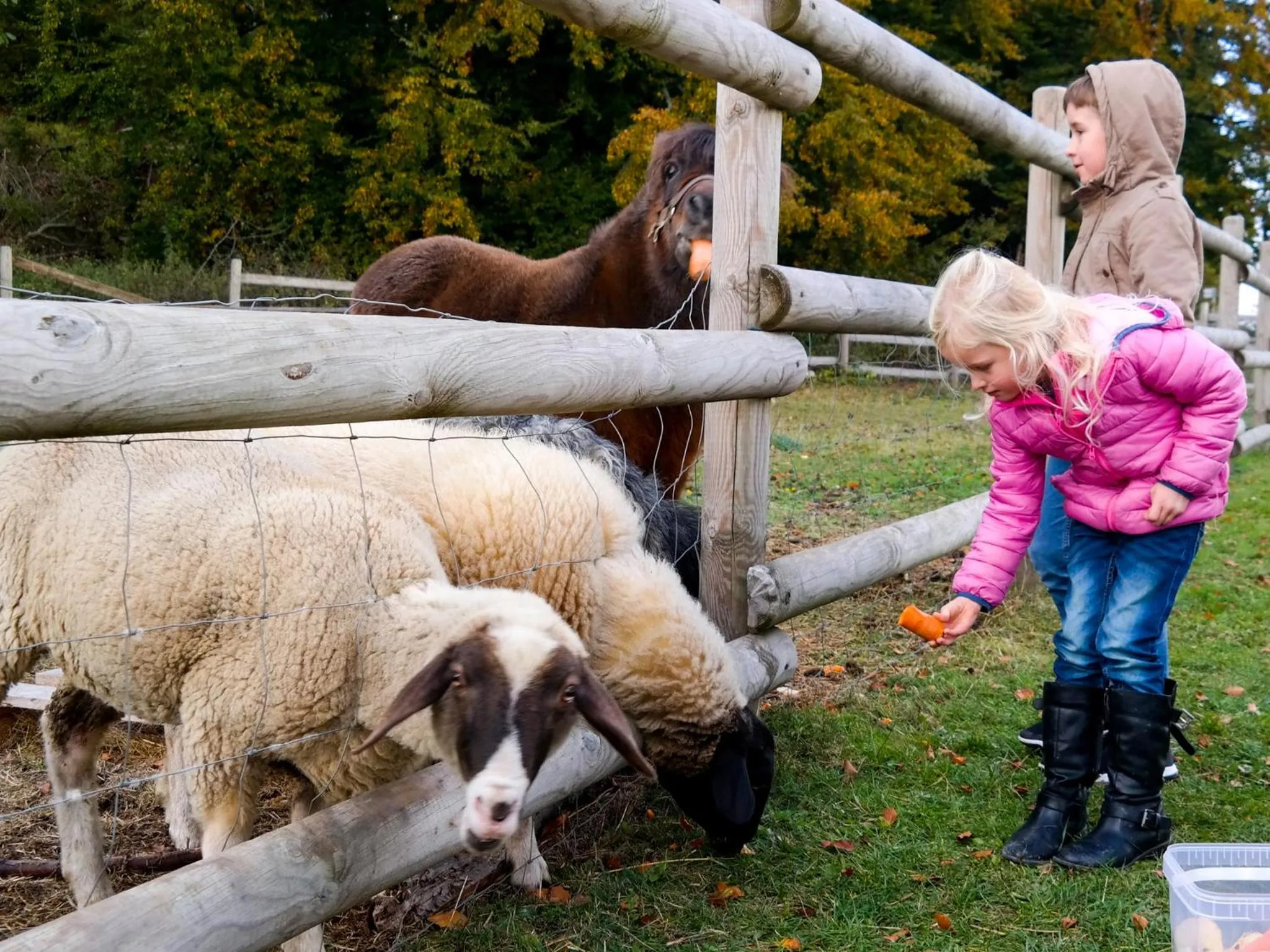 Pets in Rhön Park Aktiv Resort