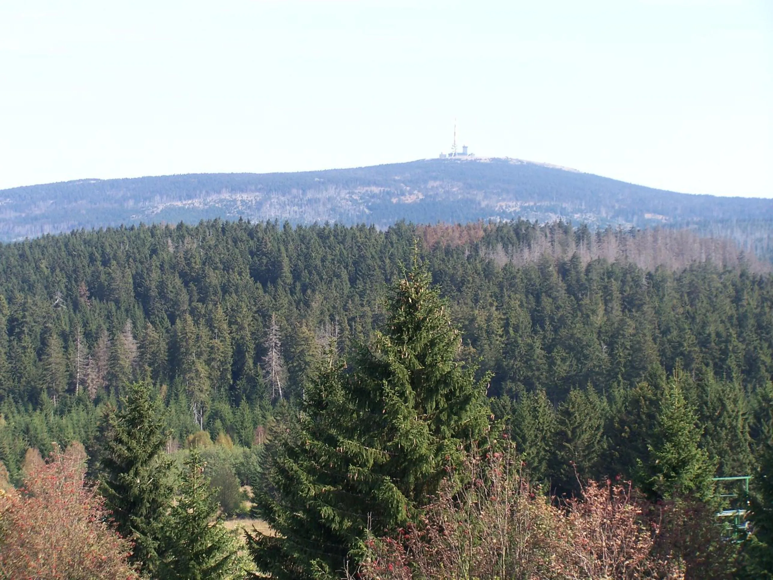 Area and facilities in Mein Vierjahreszeiten Hotel Garni Superior