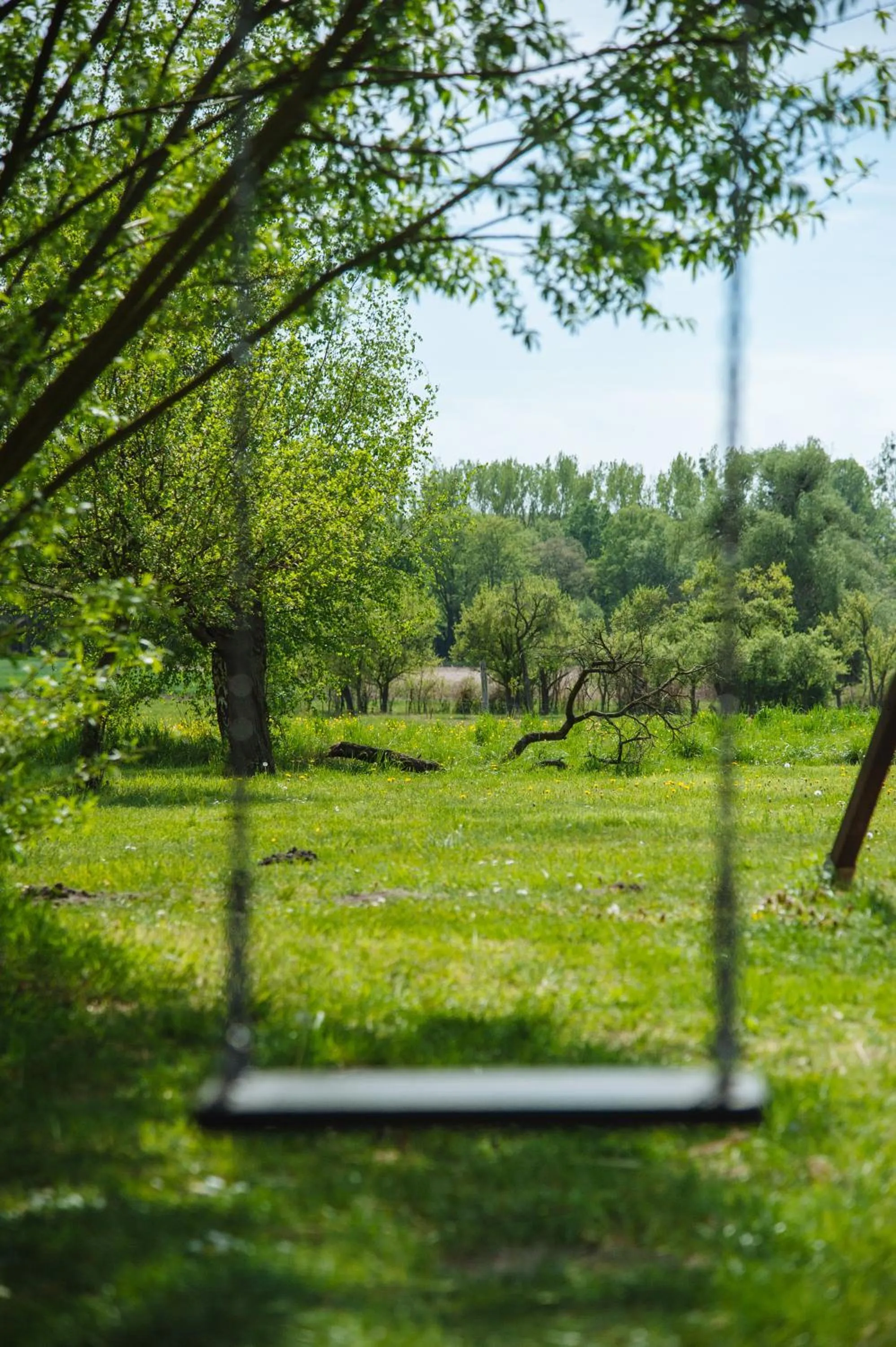 Natural landscape in Apartmenthaus Kaiser Friedrich