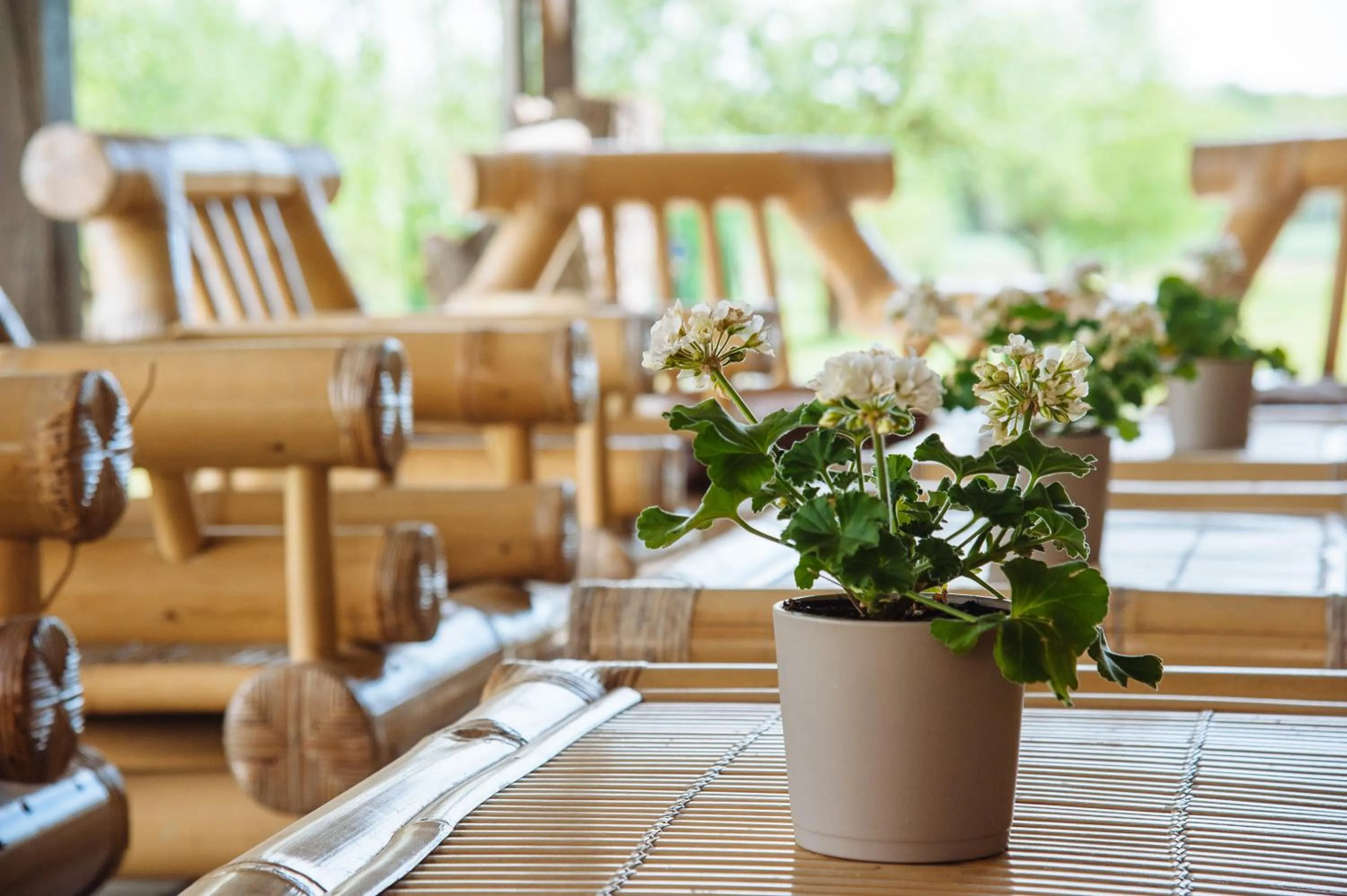 Patio in Apartmenthaus Kaiser Friedrich