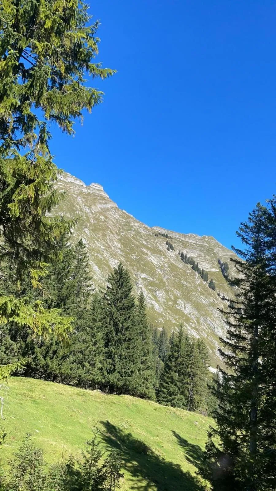 Spring in Landhaus Eibelesee
