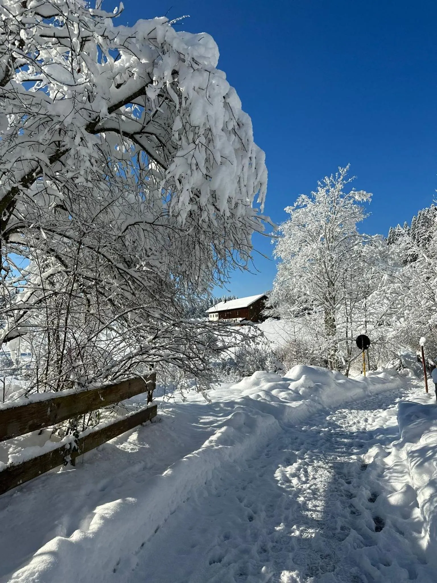 Natural landscape in Landhaus Eibelesee