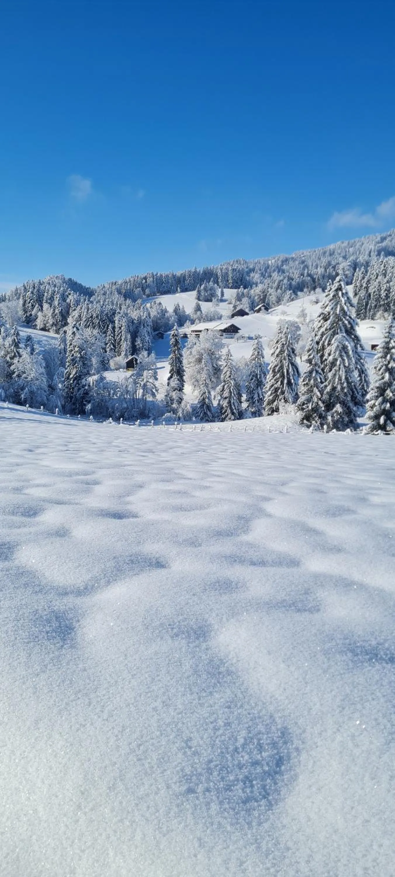 Natural landscape in Landhaus Eibelesee