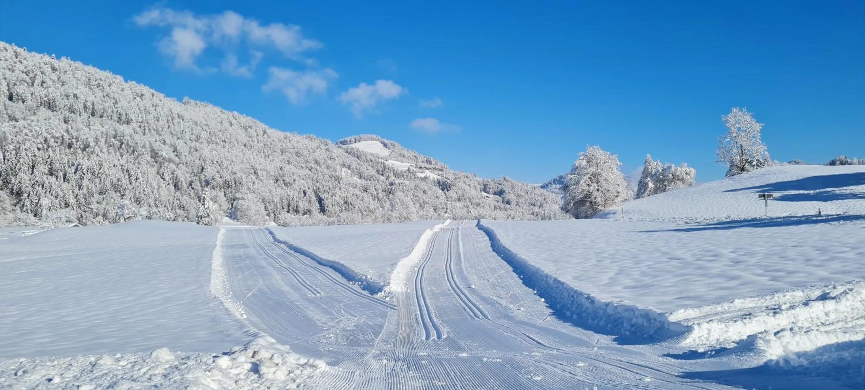 Natural landscape in Landhaus Eibelesee