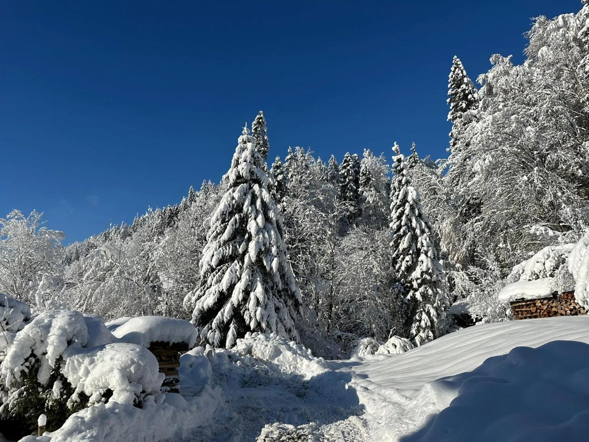 Natural landscape in Landhaus Eibelesee