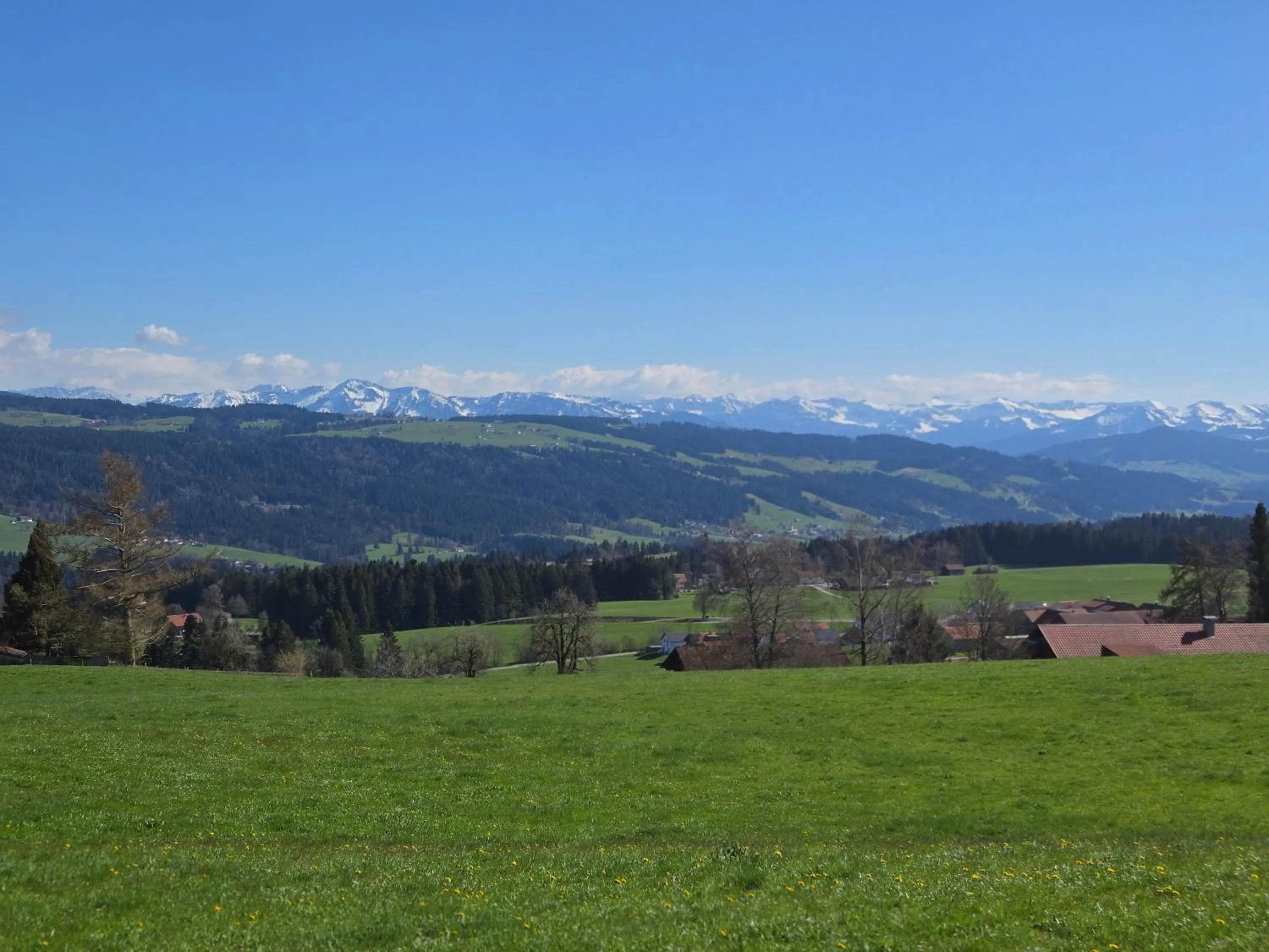 Natural landscape in Landhaus Eibelesee