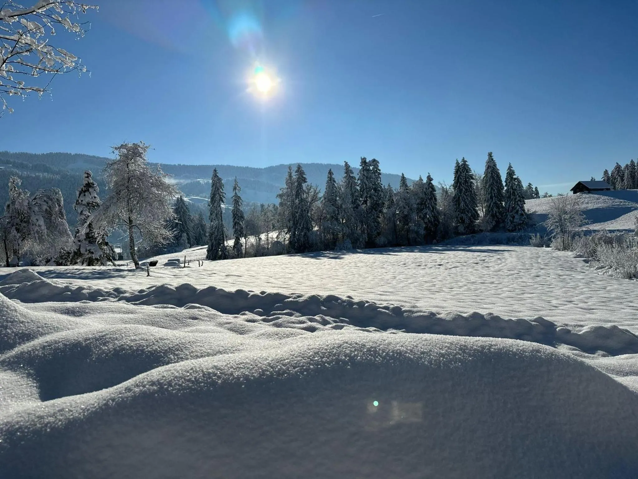 Winter in Landhaus Eibelesee