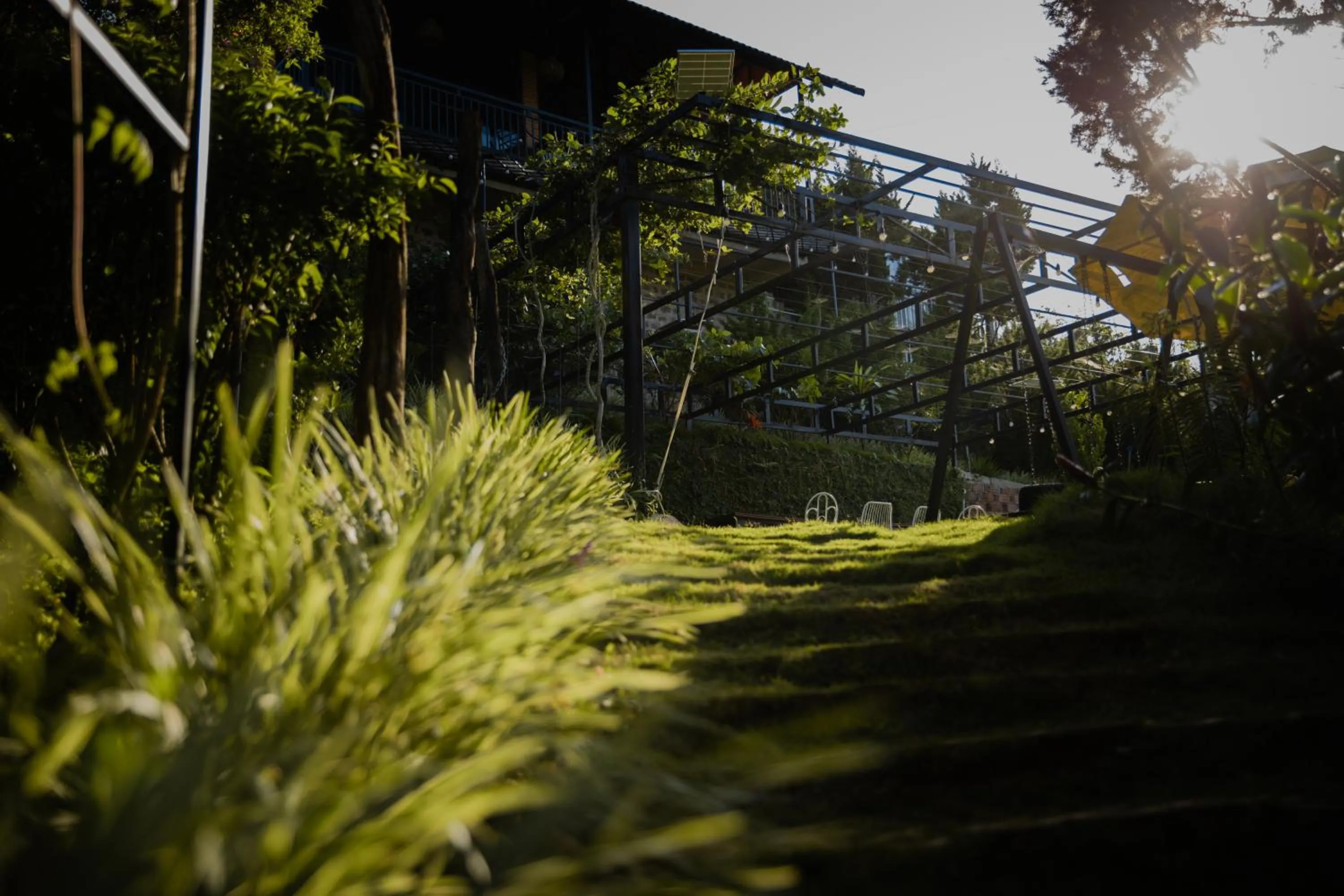 Garden view in SEN VILLA Boutique