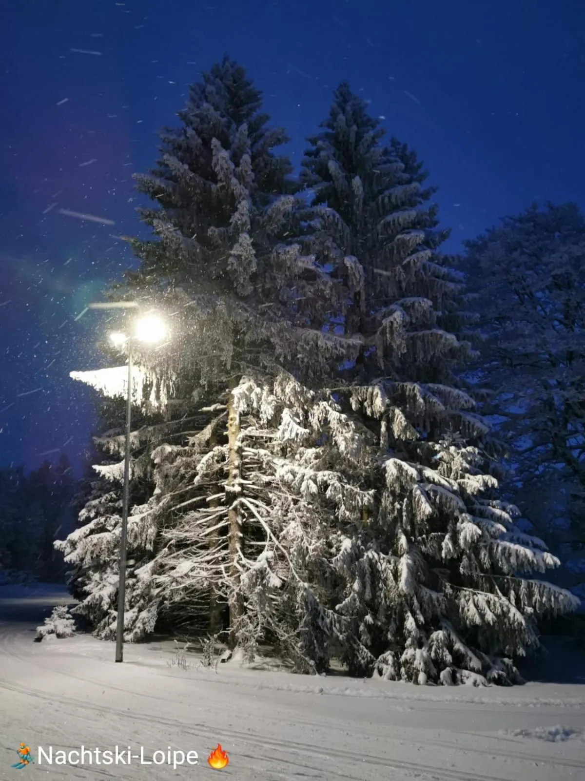 Skiing in Berghotel Talblick